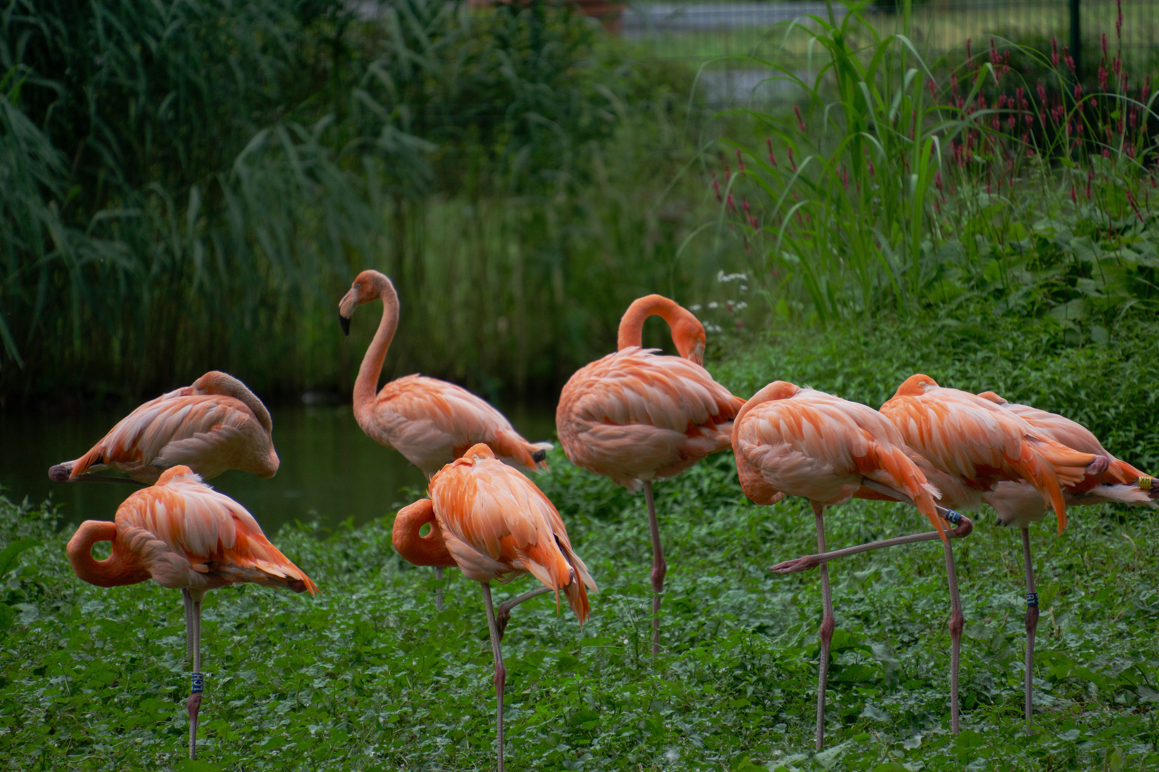 ƒ/6.3 • 1/1000s • 300mm • ISO 640