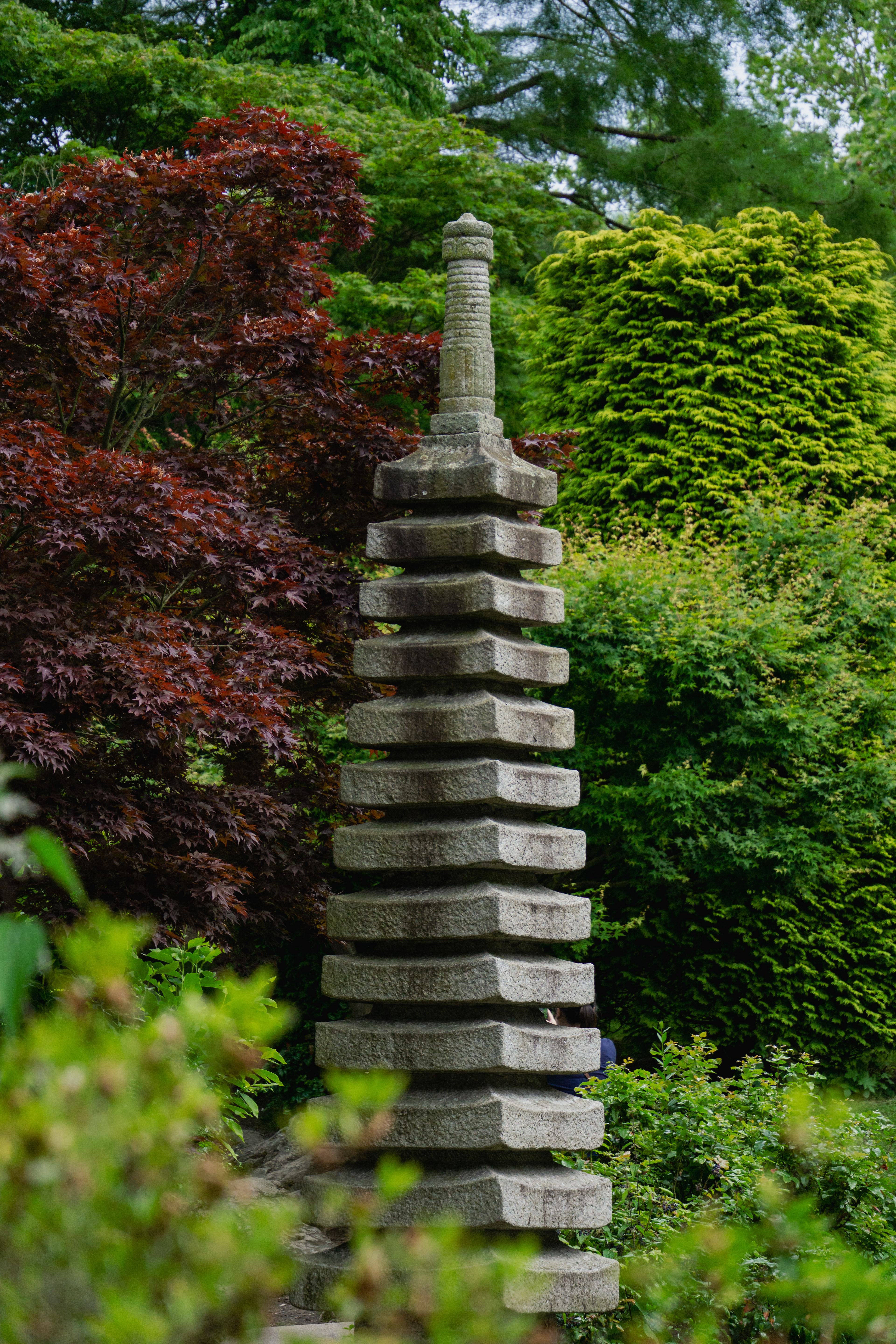 ƒ/5.6 • 1/800s • 106mm • ISO 1250