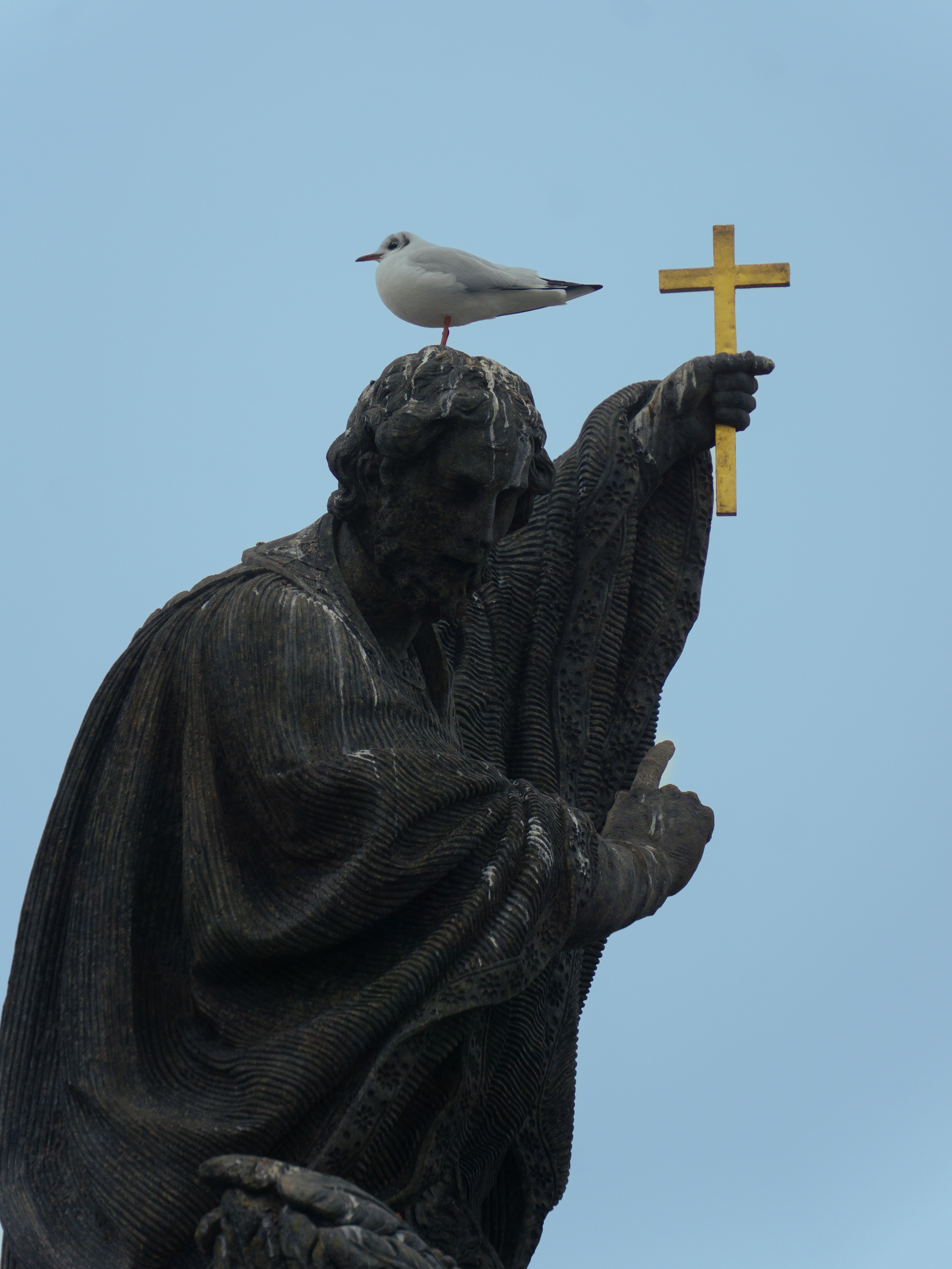 ƒ/5.6 • 1/250s • 154mm • ISO 320