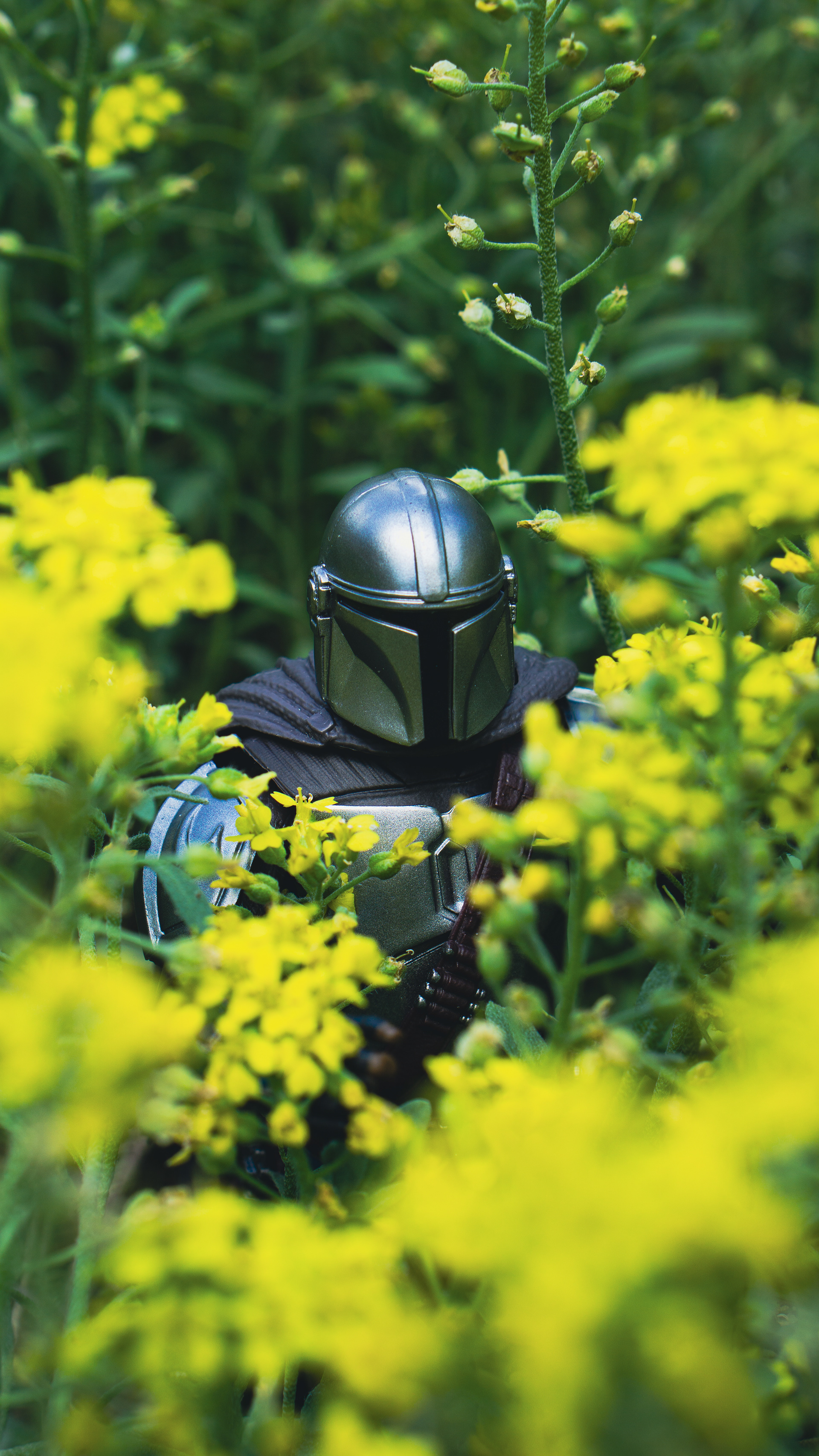 ƒ/5.6 • 1/125s • 50mm • ISO 100