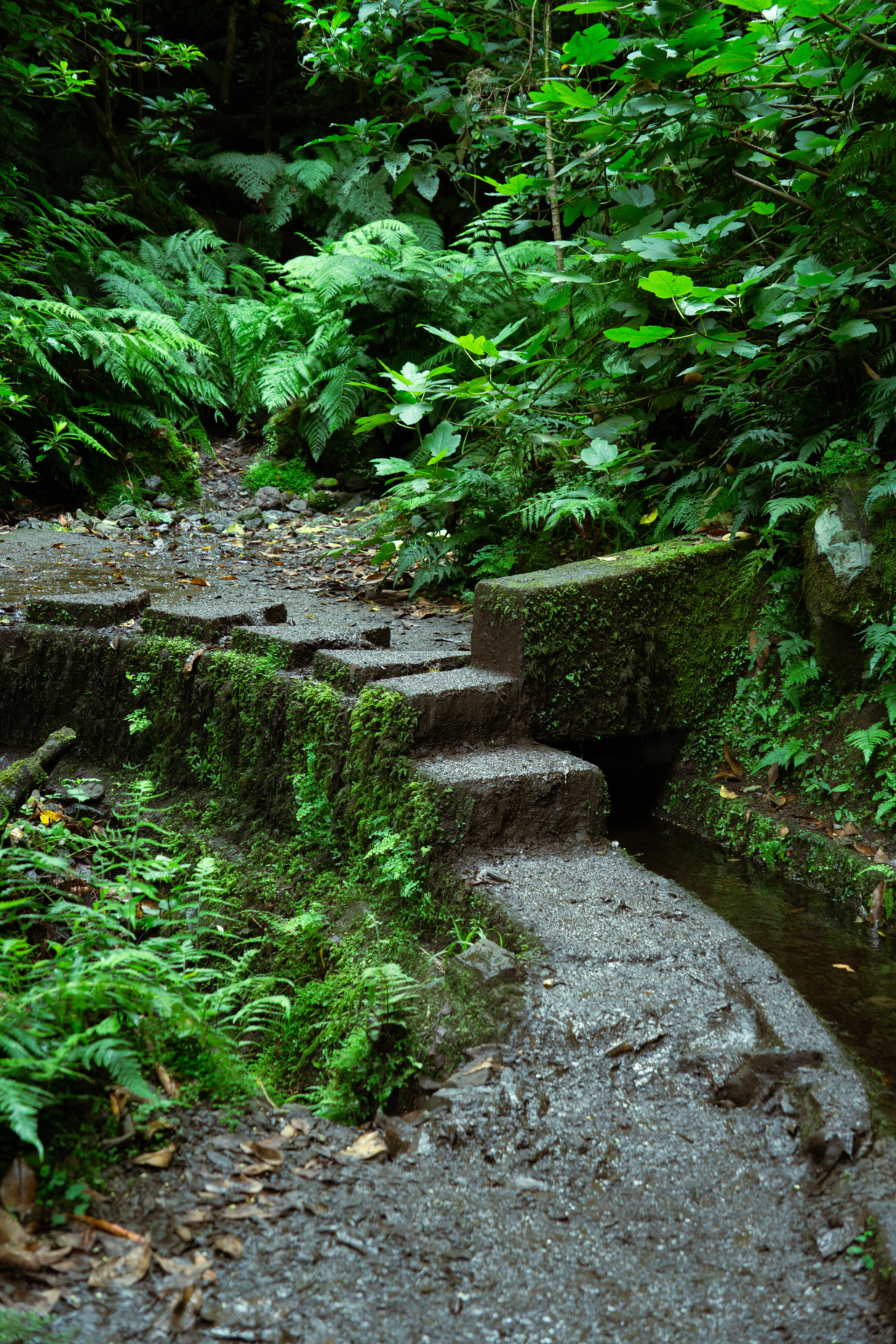 ƒ/4 • 1/60s • 34mm • ISO 800