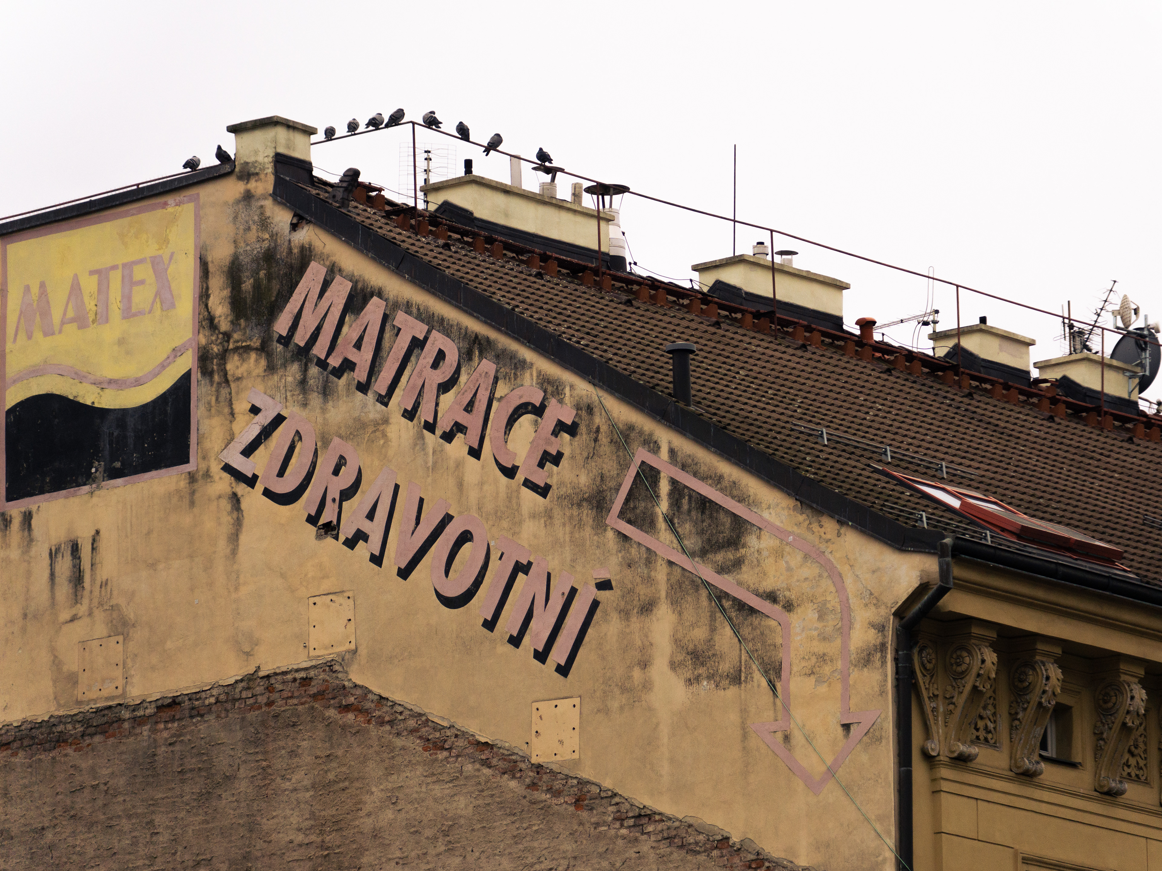 ƒ/6.3 • 1/320s • 163mm • ISO 800