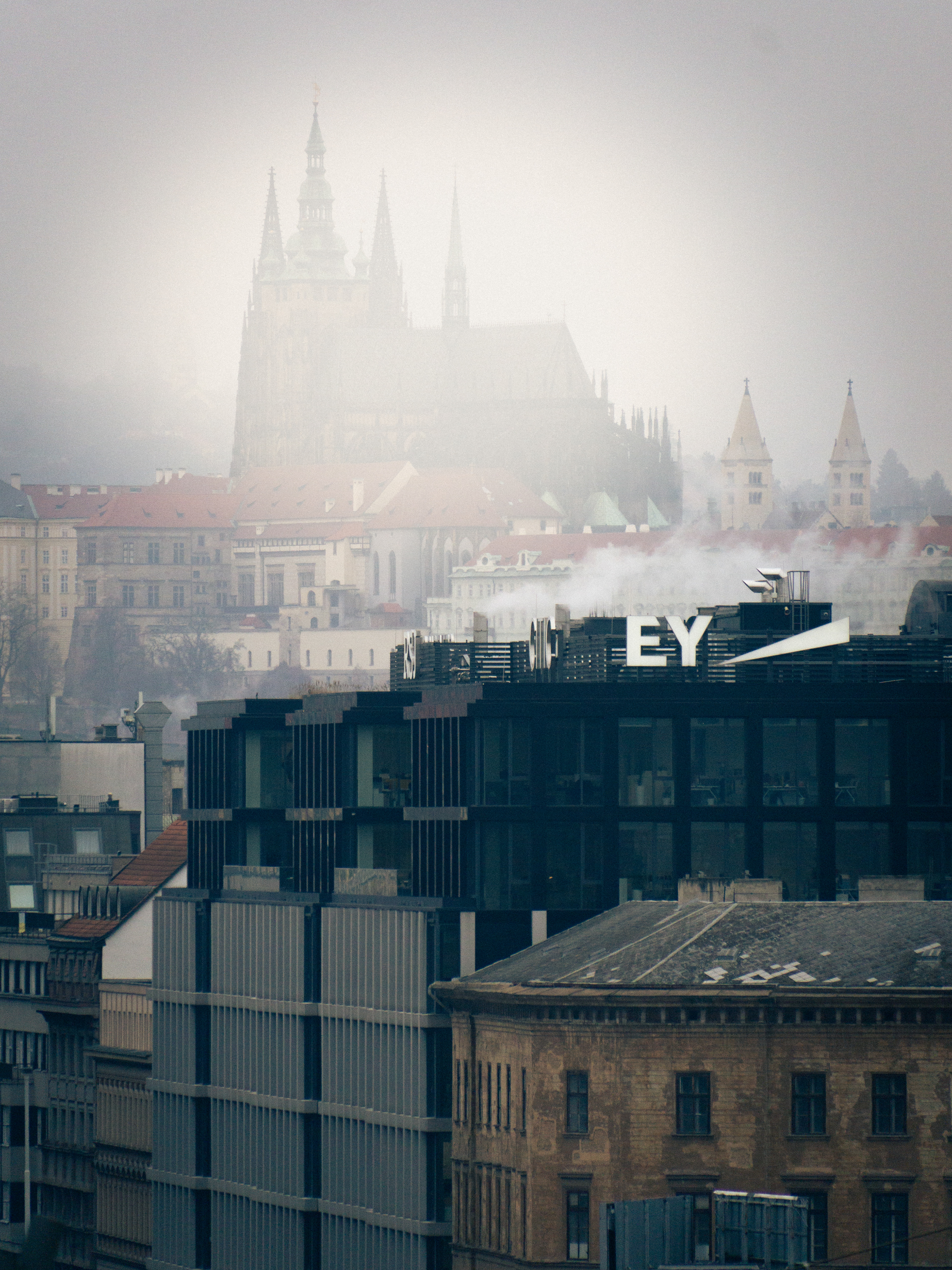 ƒ/6.3 • 1/500s • 300mm • ISO 1000