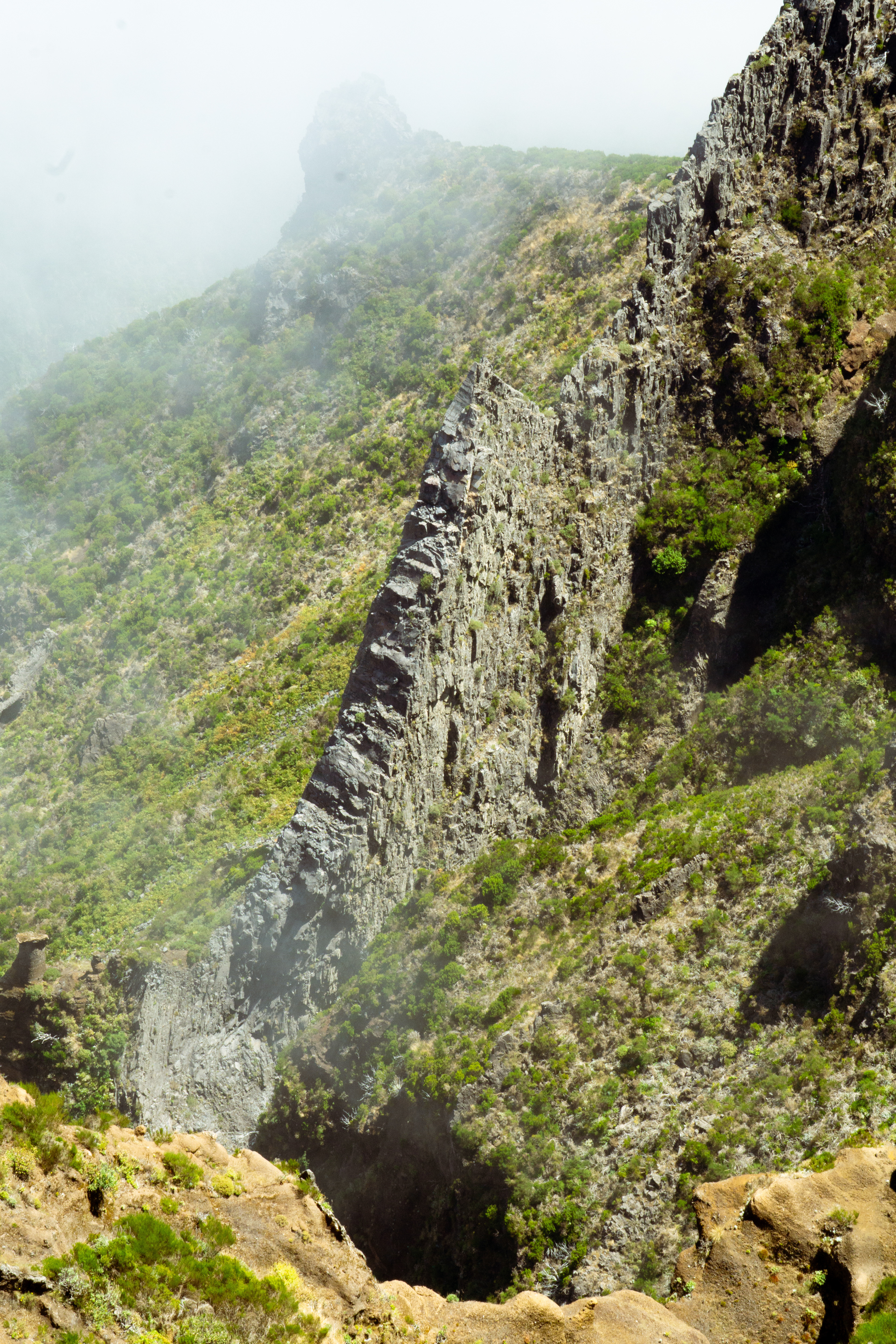 ƒ/22 • 1/125s • 72mm • ISO 1000