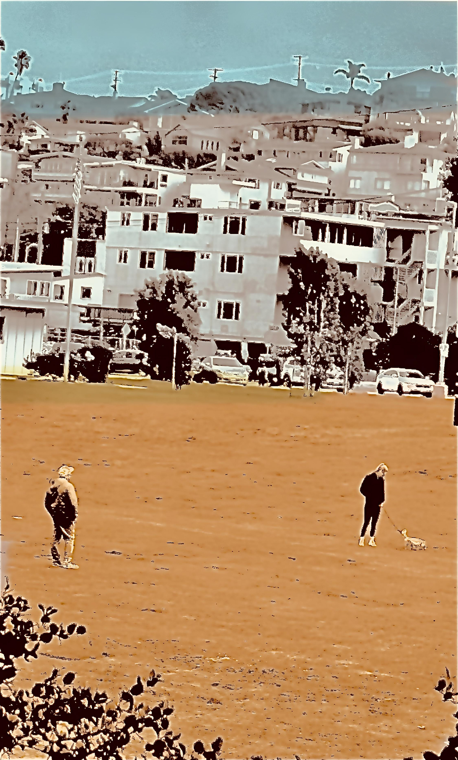 Dog Walkers 
