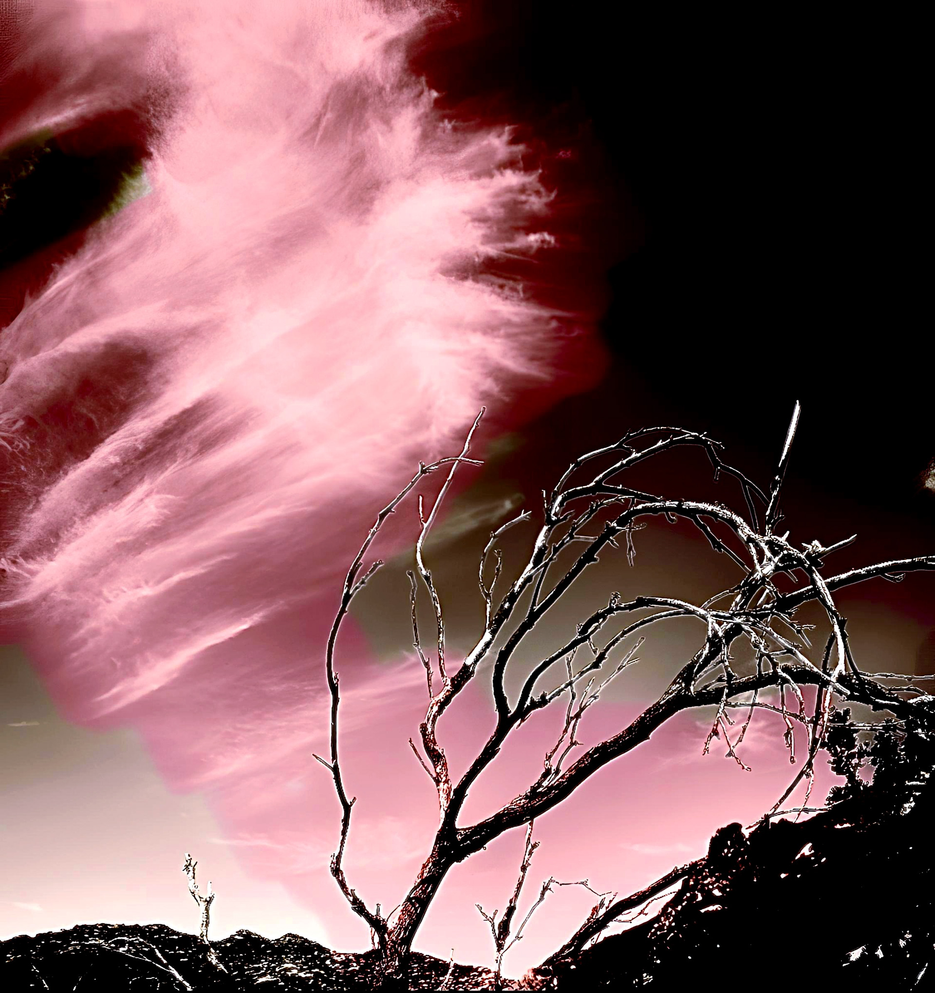 False Aurora (red)