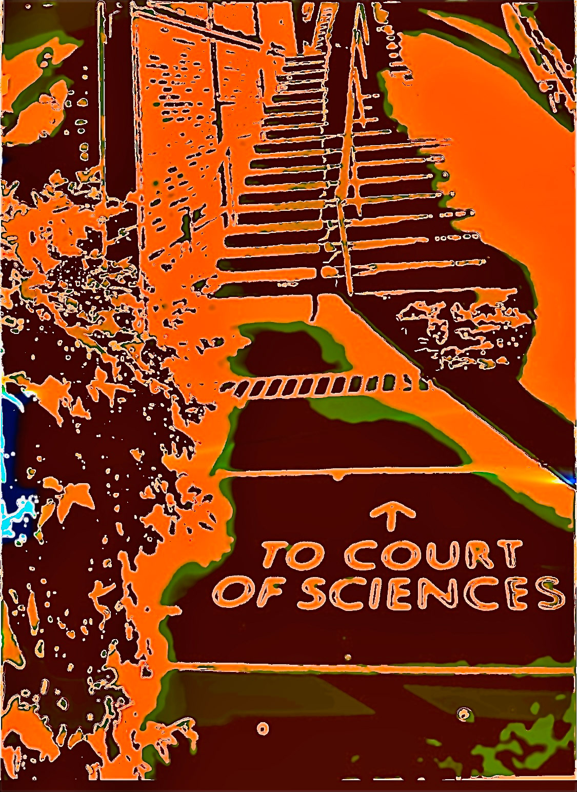 "To the Court..." (vii)
