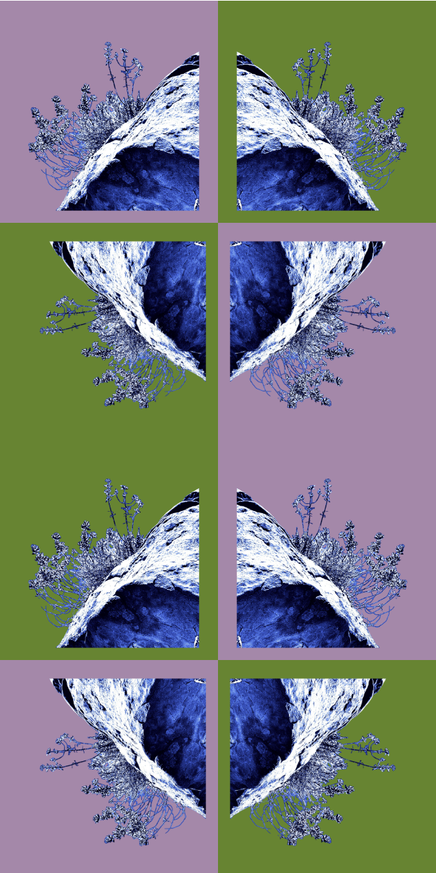 b(2+2)