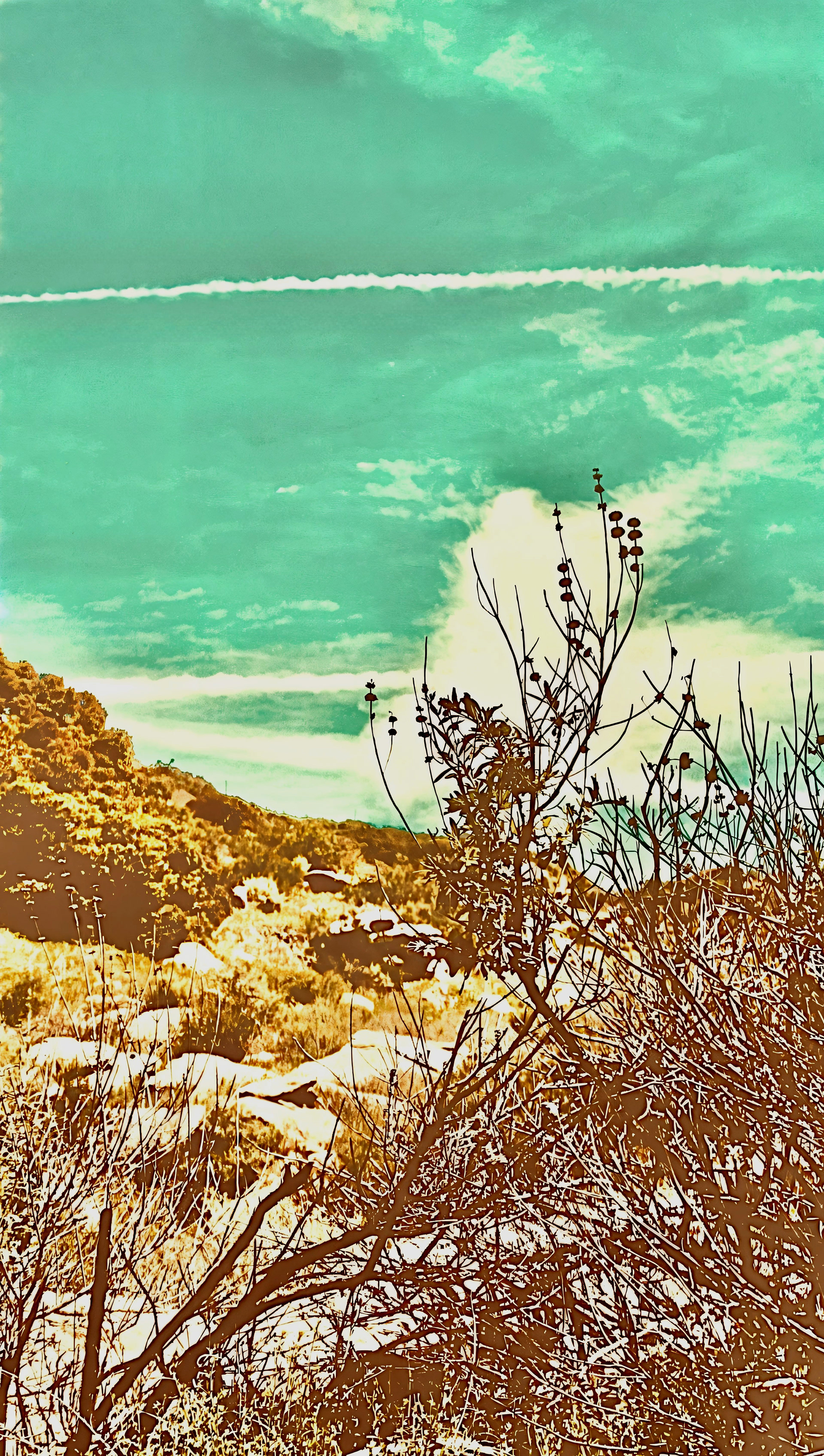 'Contrail (iii)'
