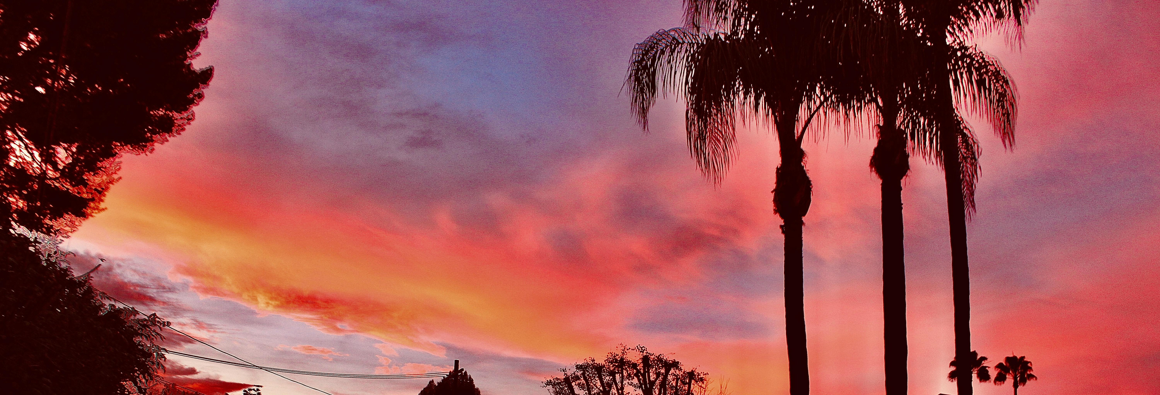 Early Winter Sunset (i-v)