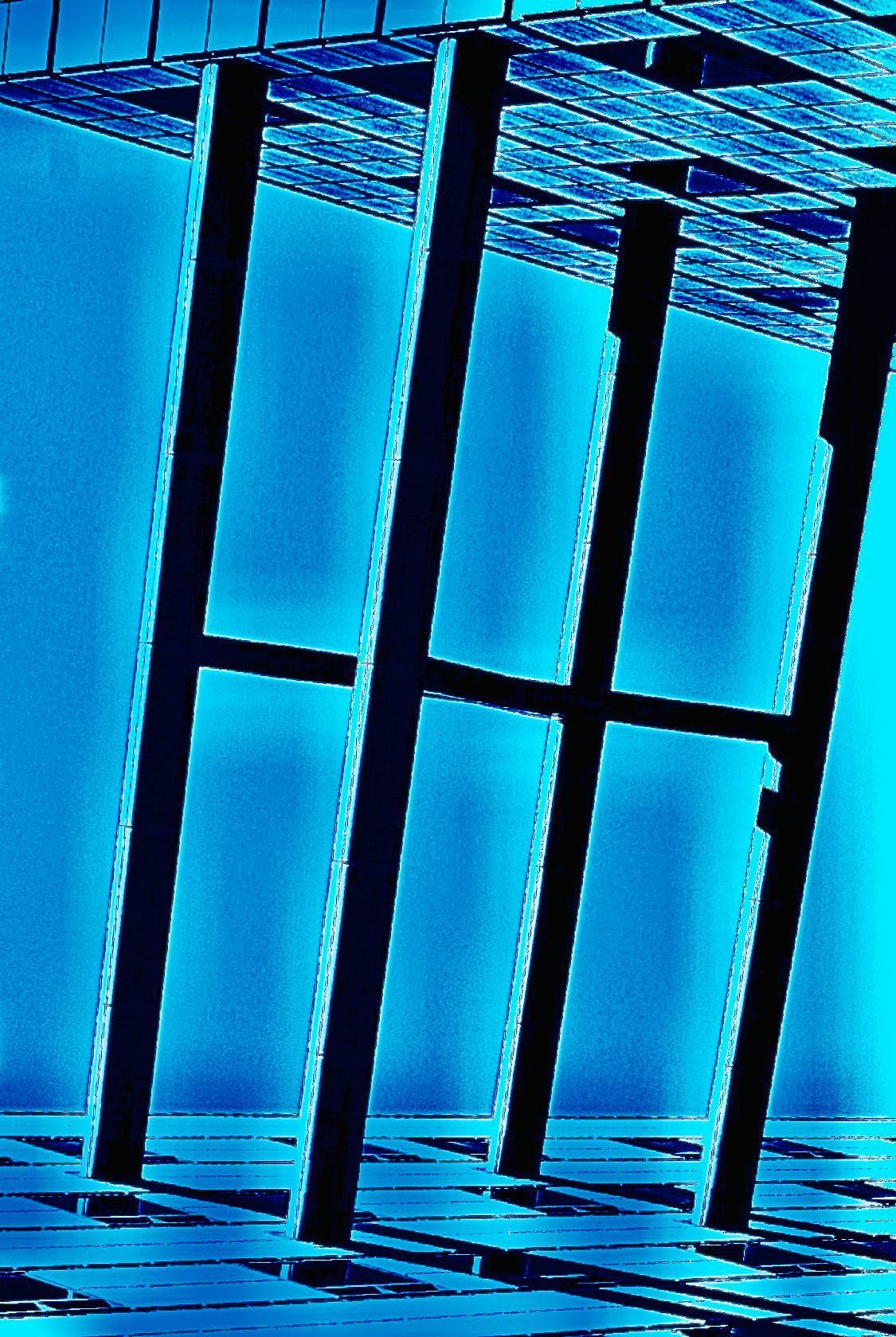 Vertizon study (viii)
