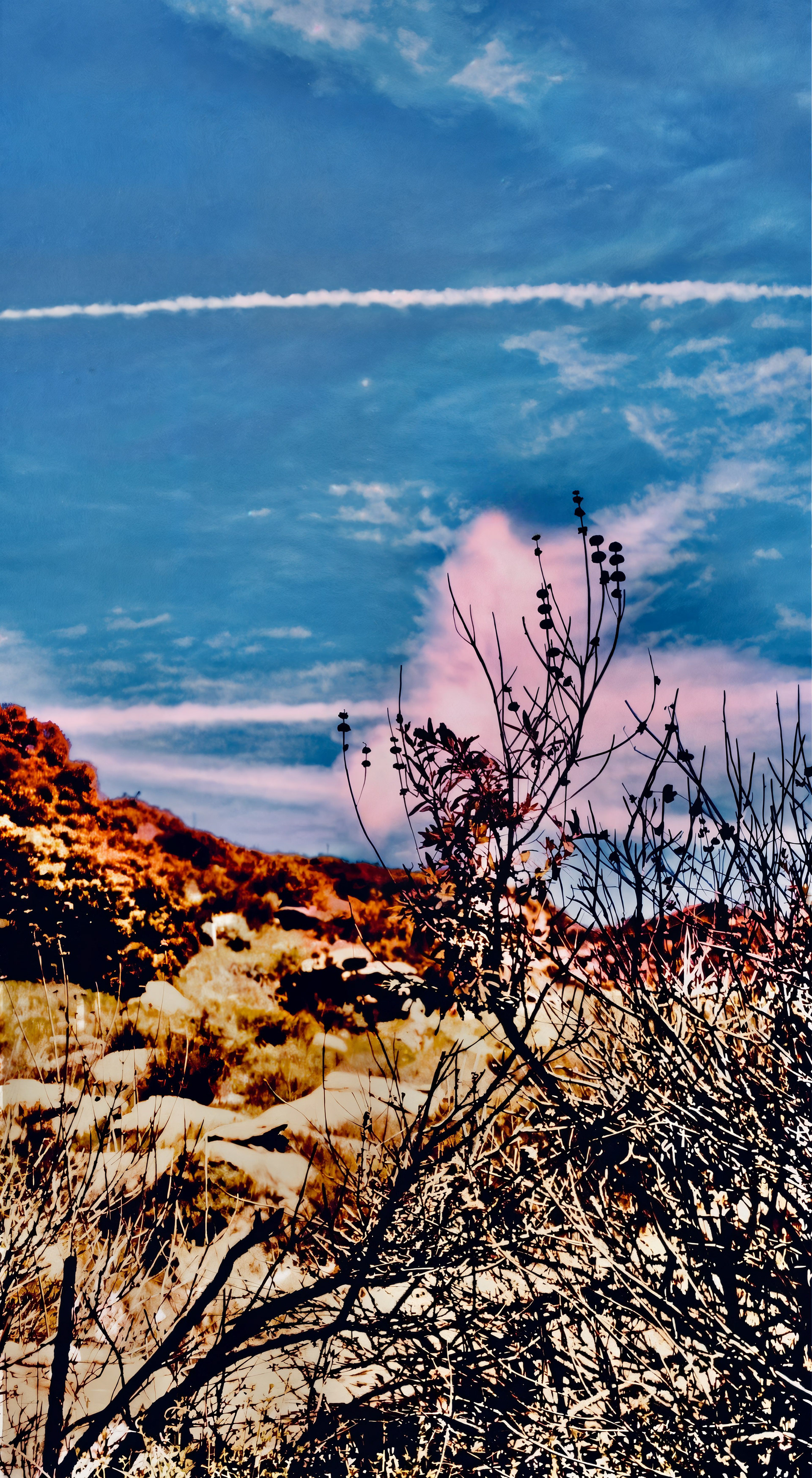 'Contrail (ii)'