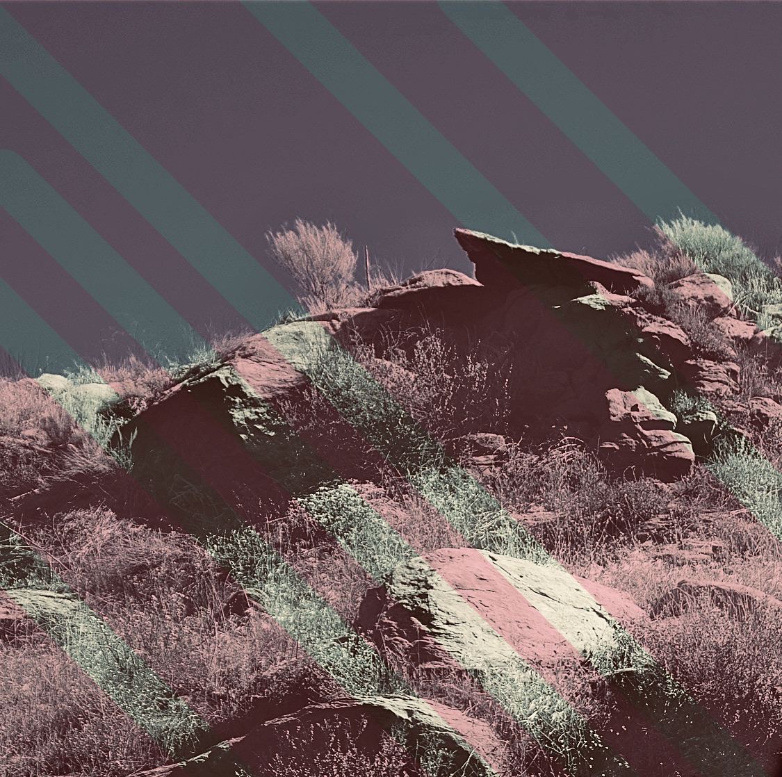 Outcrop, Santa Susana Trail  (iii)