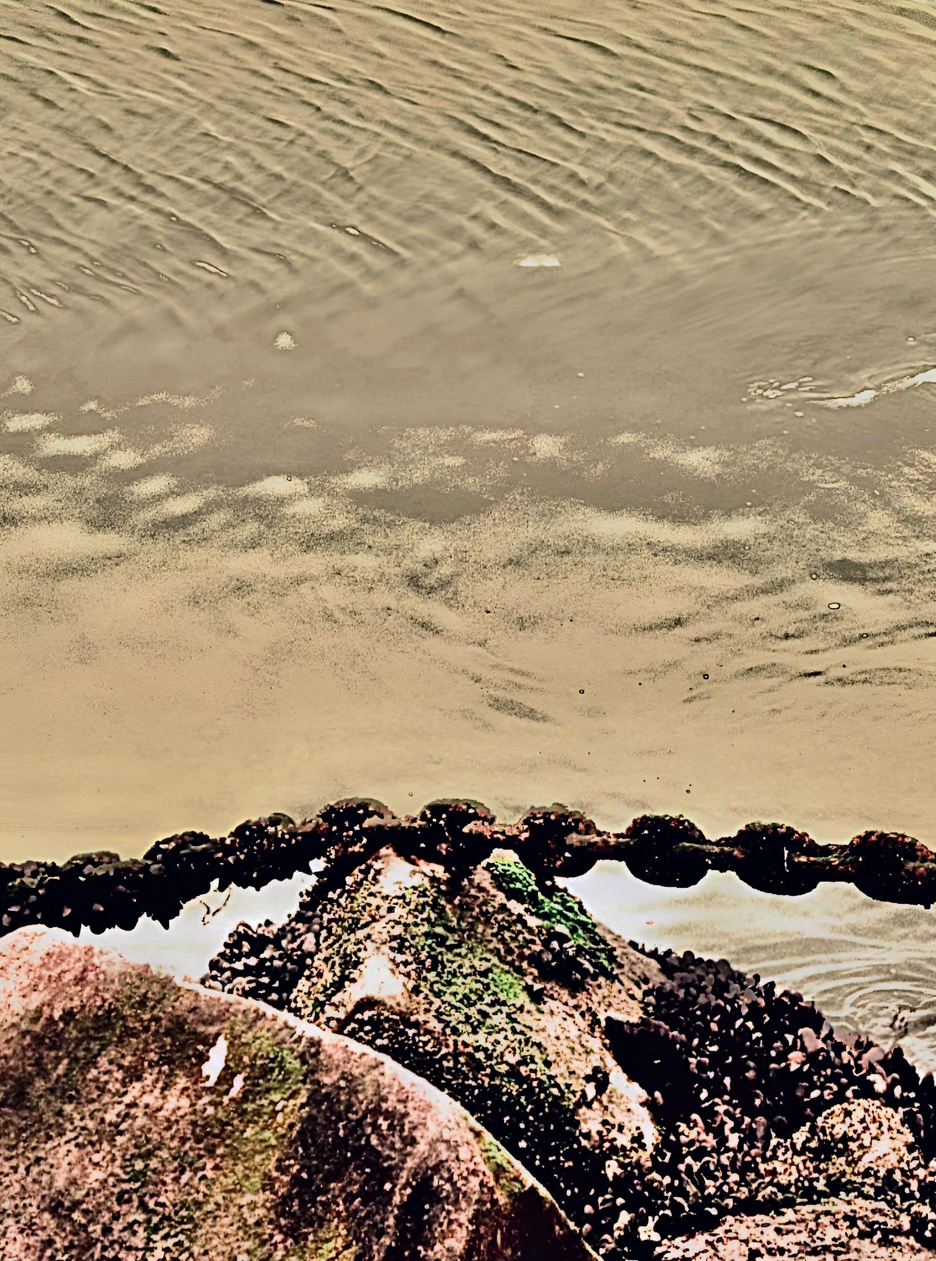 Jetty Chain, Marina Del Rey (ii)