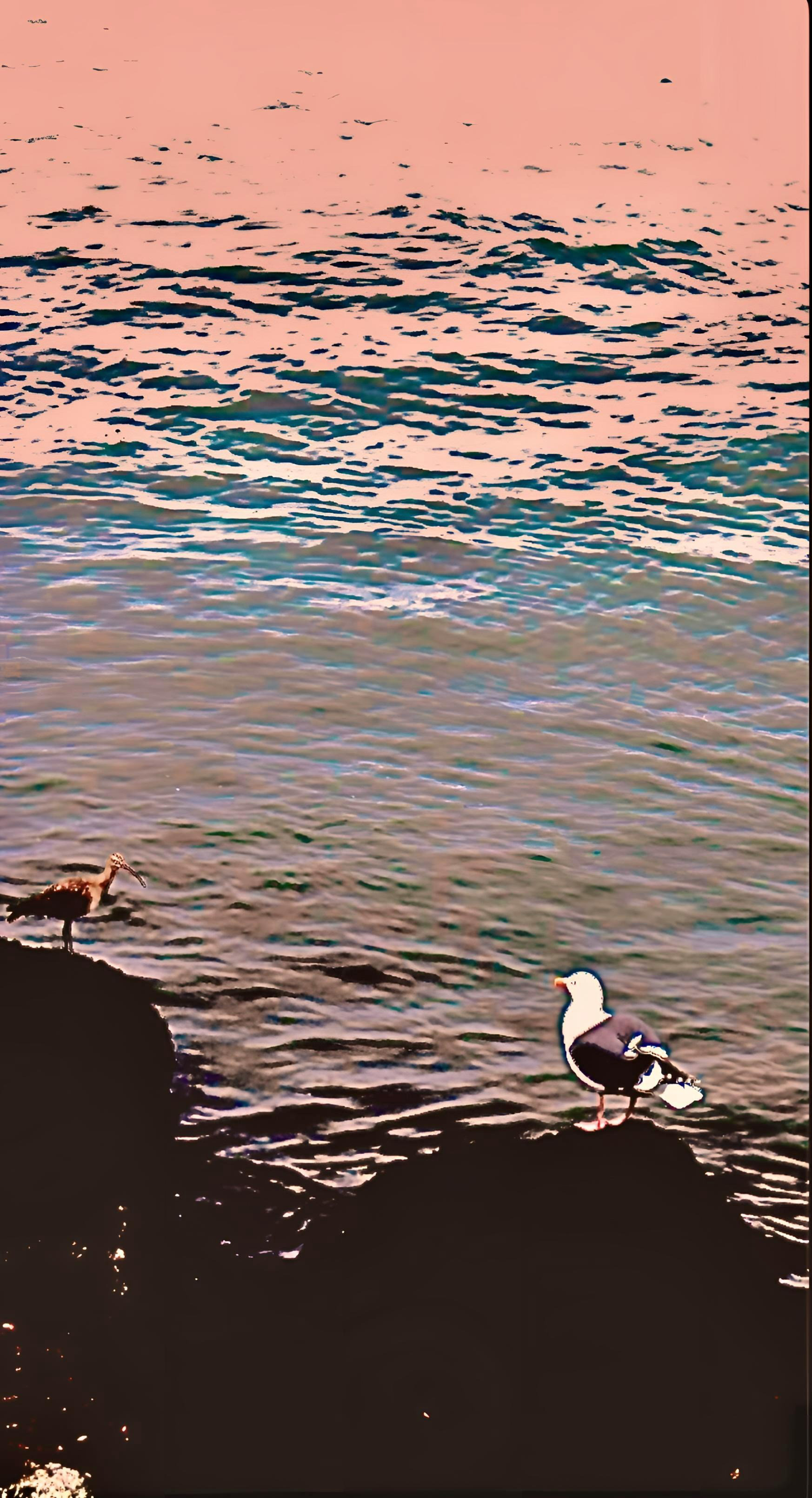 We Two (vi)