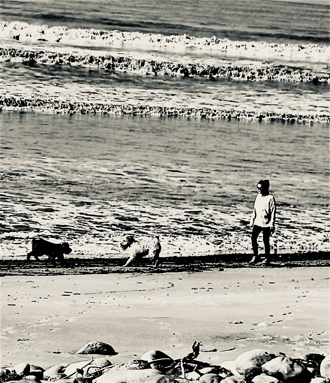 Walk with Two Dogs - Ventura