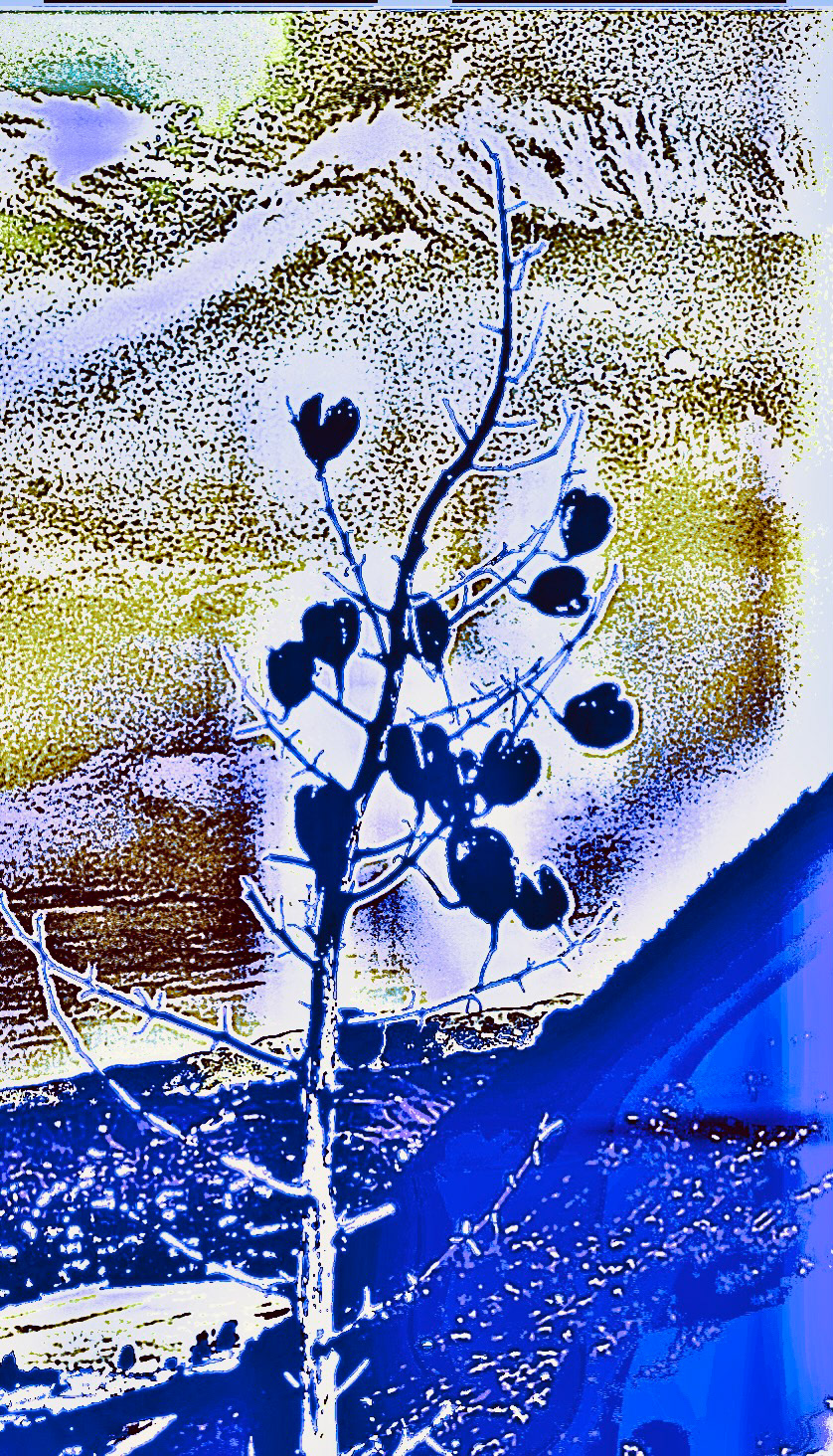 WW - Color Study (VII)