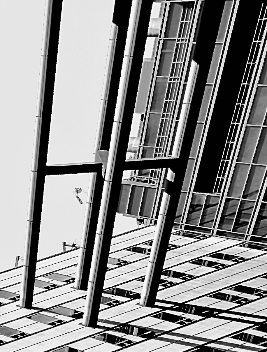 Vertizon study (i)