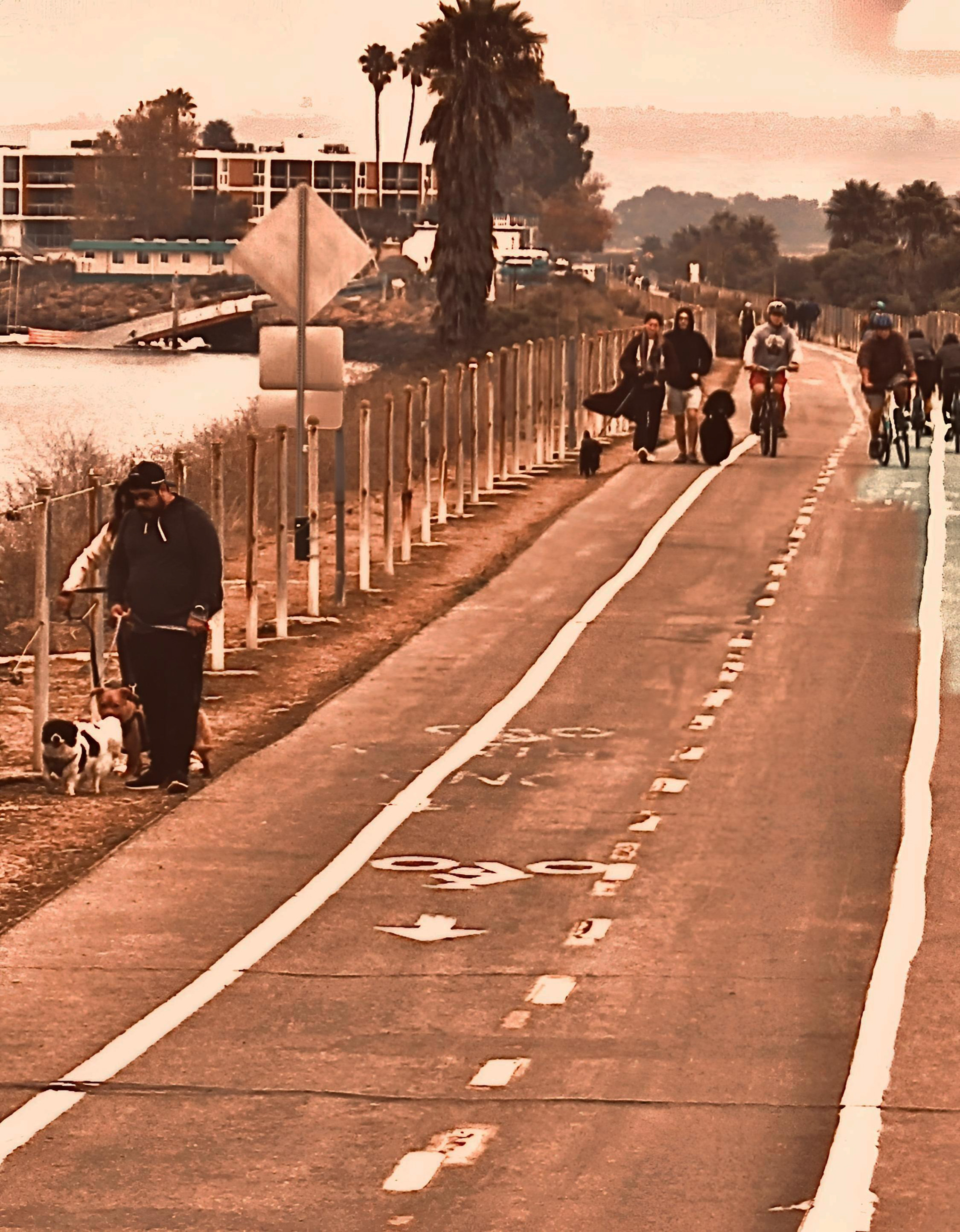 Marvin Braude Trail, Marina Del Rey (i)