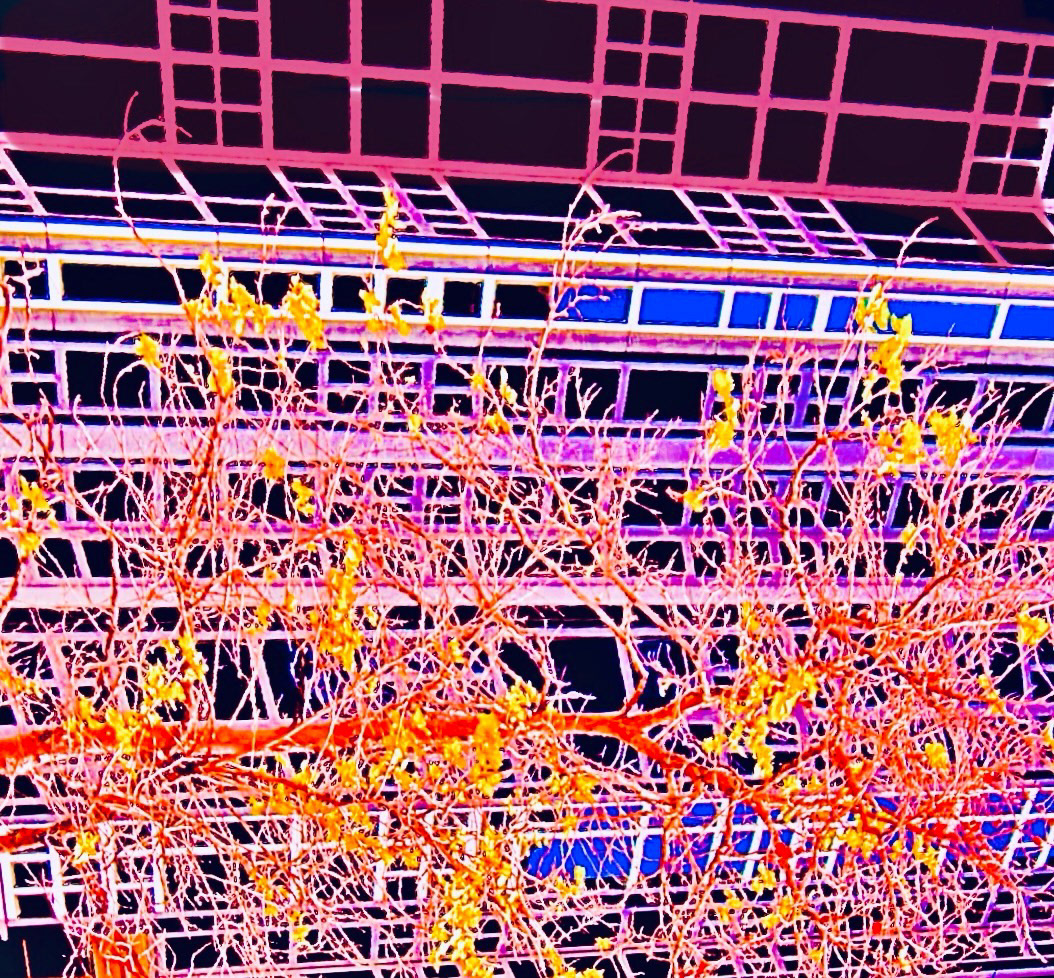 Arbor Vectors (ii)