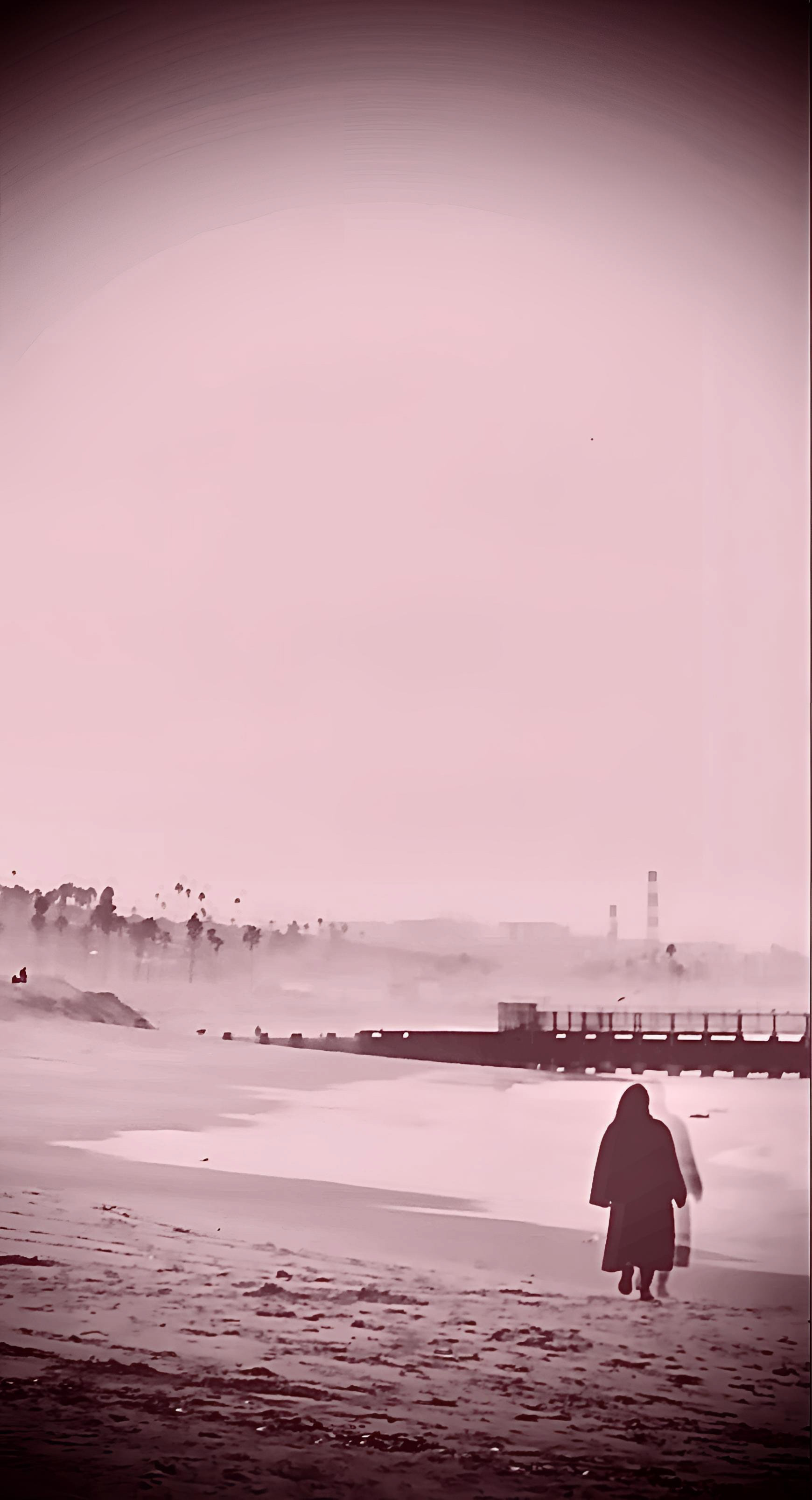 Sacred to the Memory of Ian Curtis (iv)