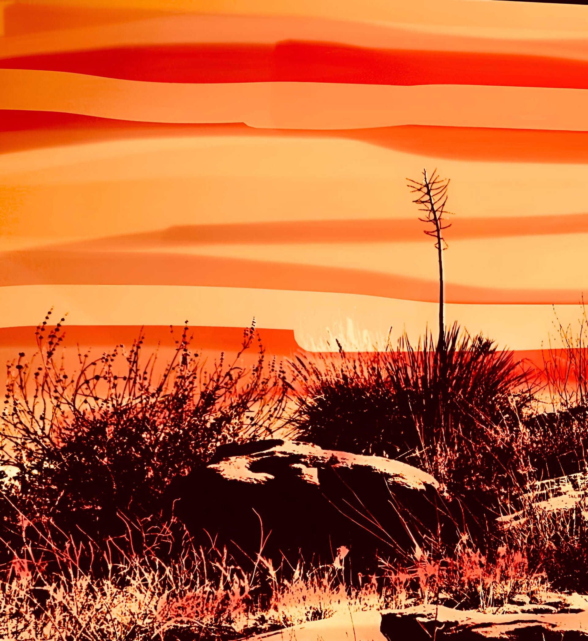Yucca and Stone (vii)