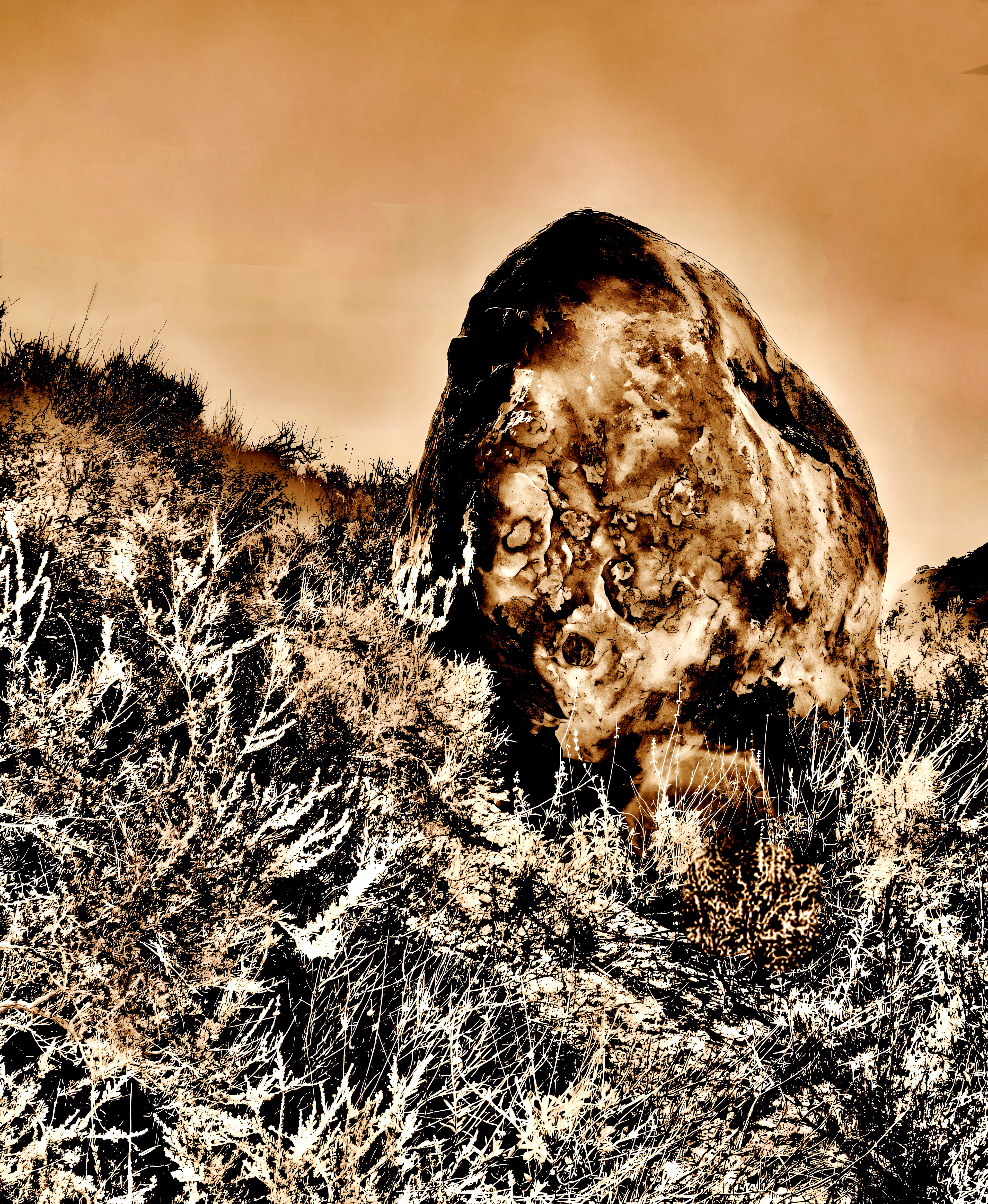 'Nestled Boulder (i)'