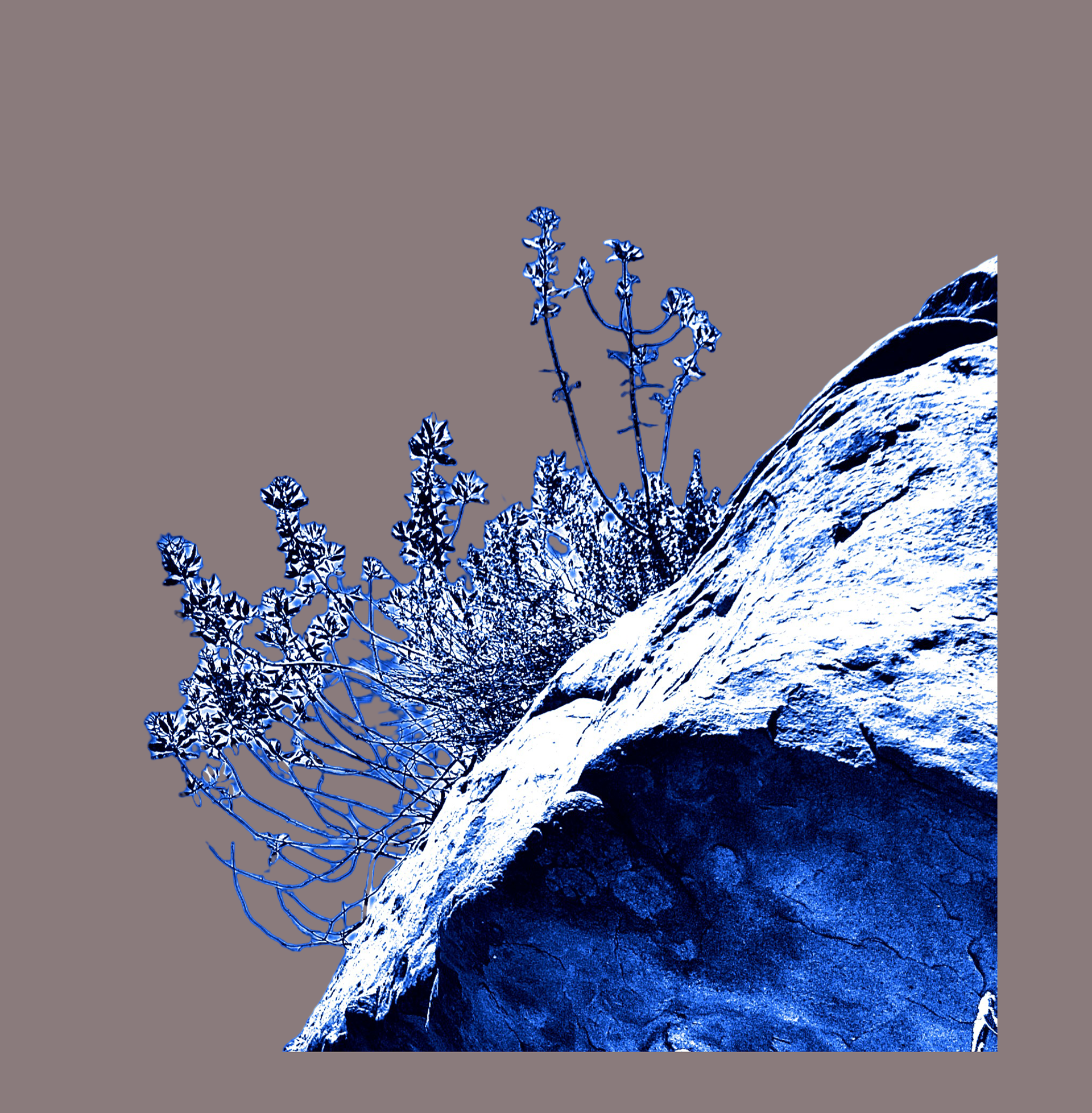 1-c