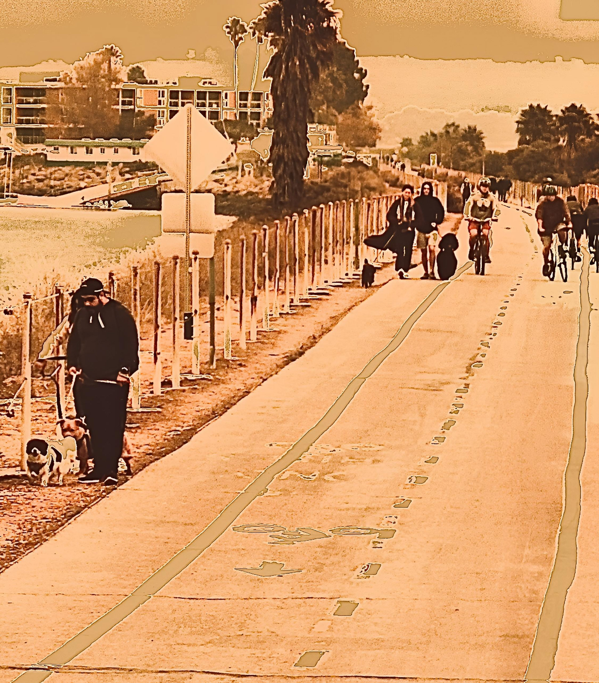 Marvin Braude Trail, Marina Del Rey (ii)