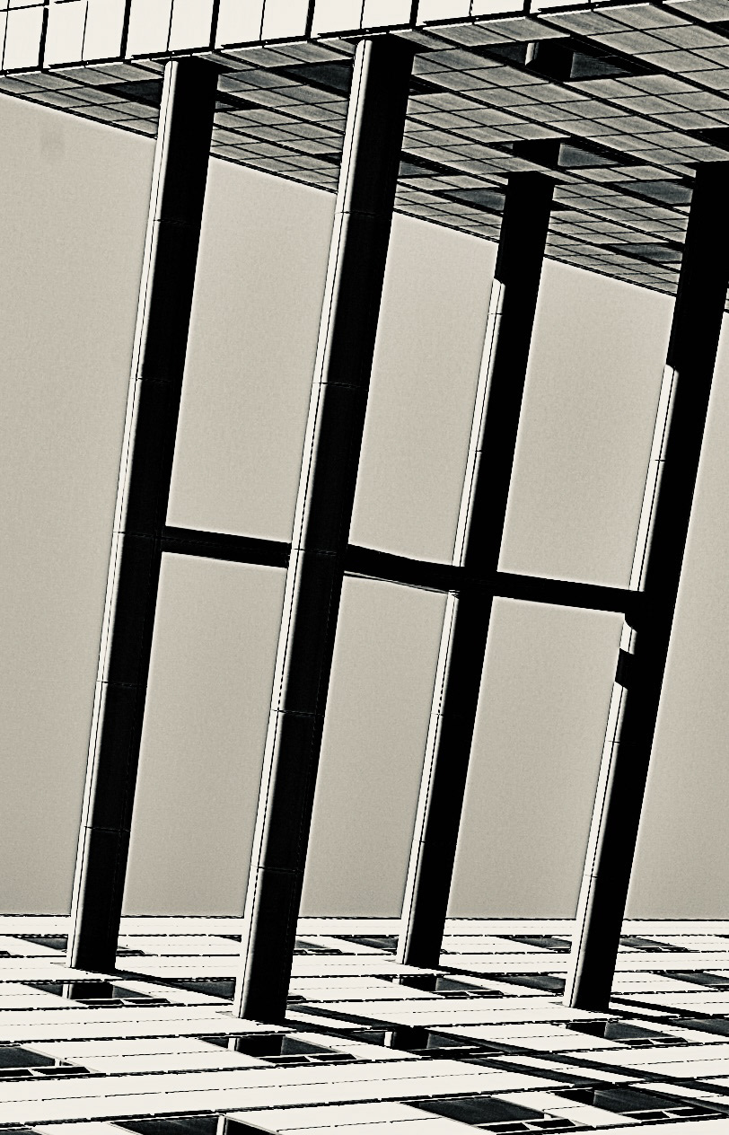 Vertizon study (x)