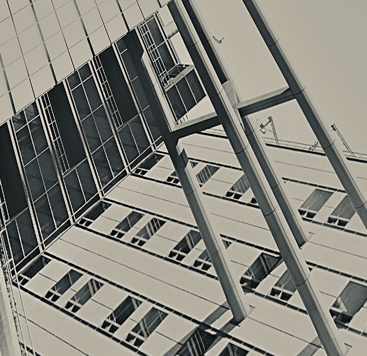 Vertizon study (iii)