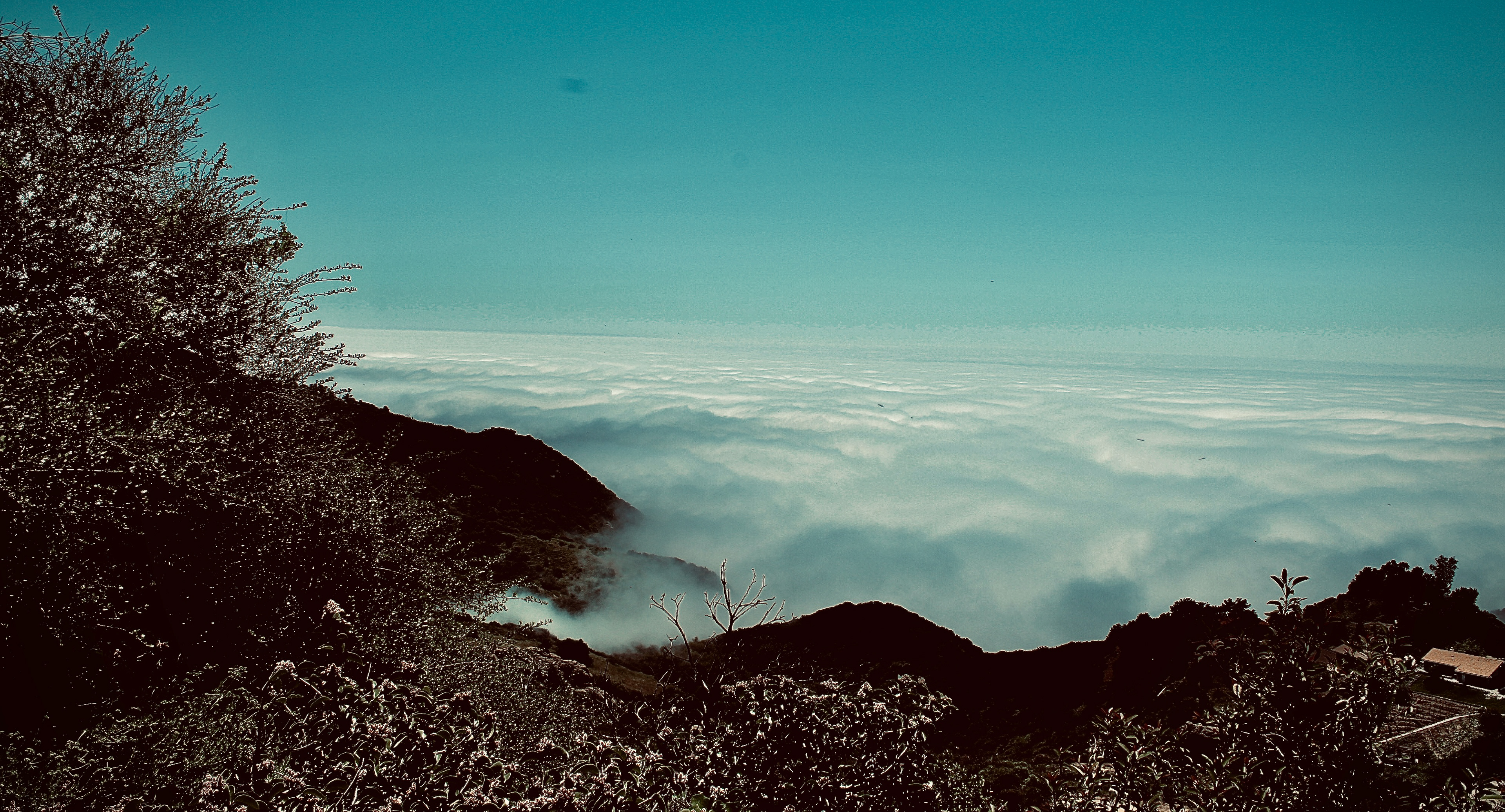 Marine Layer Vista - Calabasas
