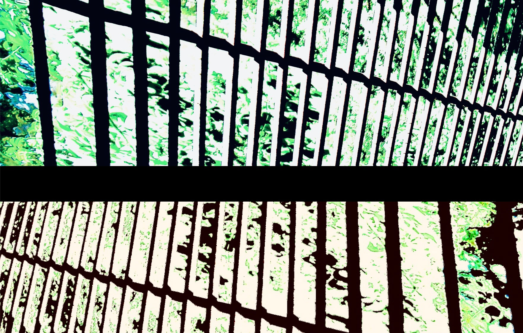 Verdicies (i, ii, iii)