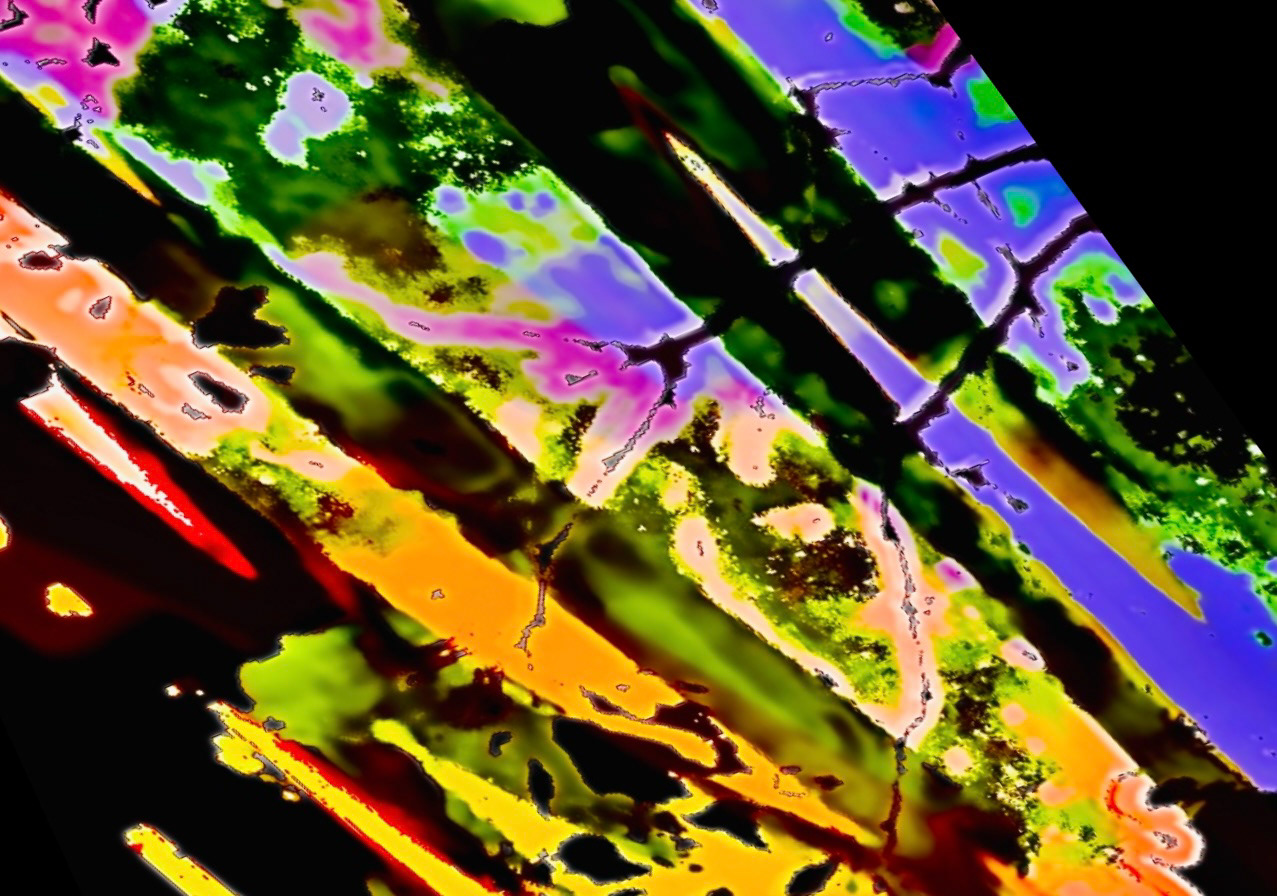 Process Series (1)