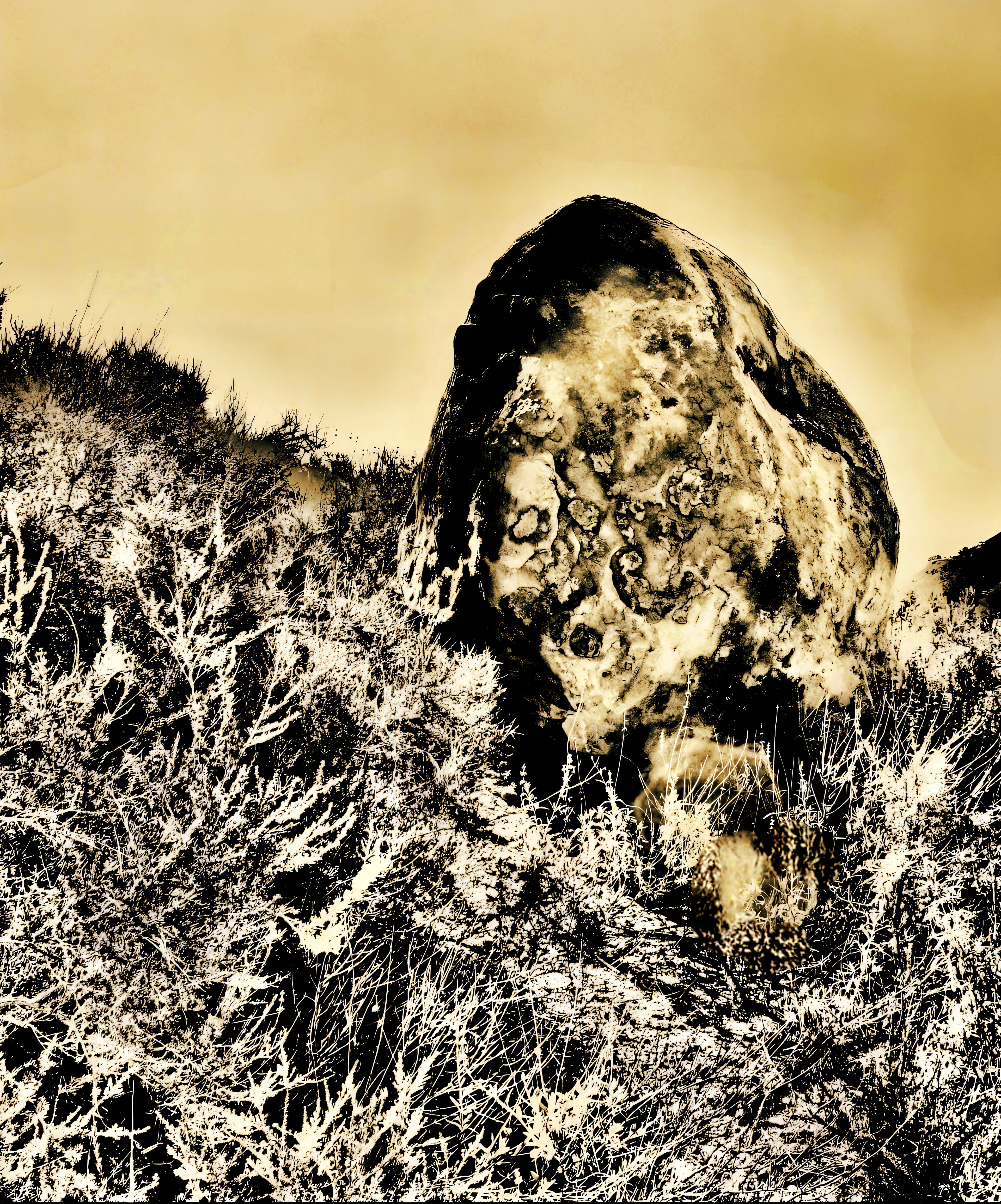 'Nestled Boulder (ii)'