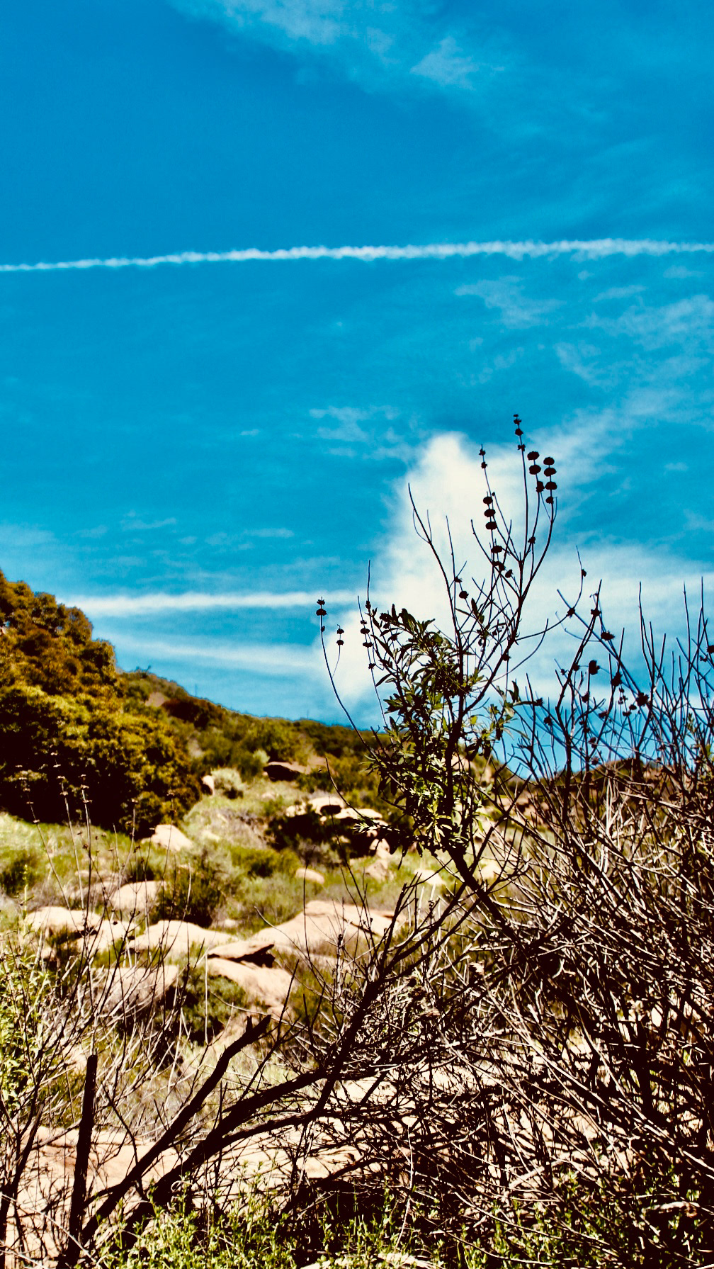 'Contrail (i)'