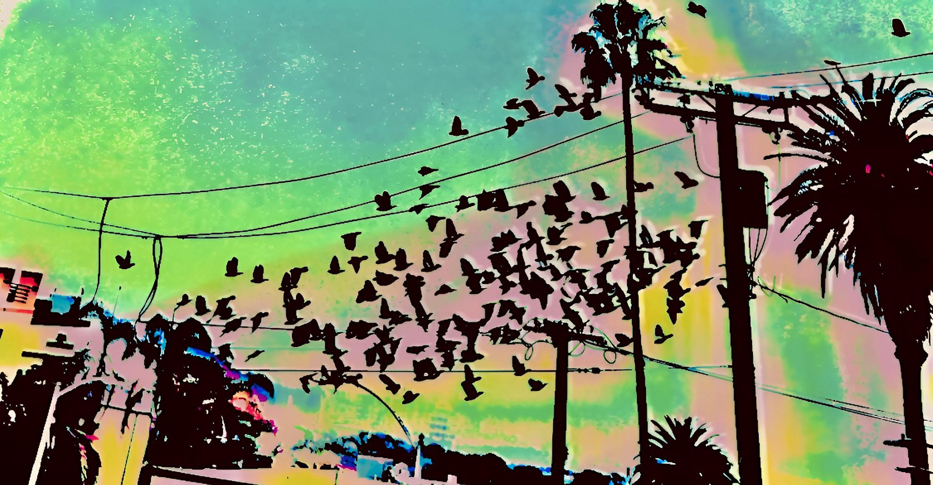 Flying Colors (ii)