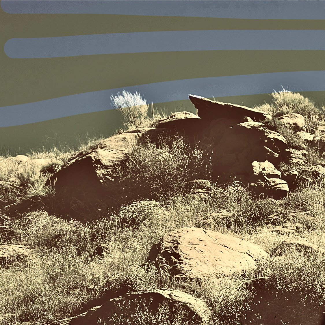 Outcrop, Santa Susana Trail  (ii)