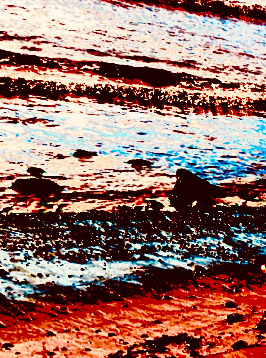 Tidal Strata (i)