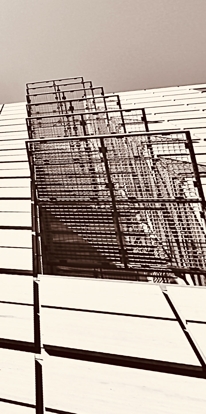 Vertizon study (xi)