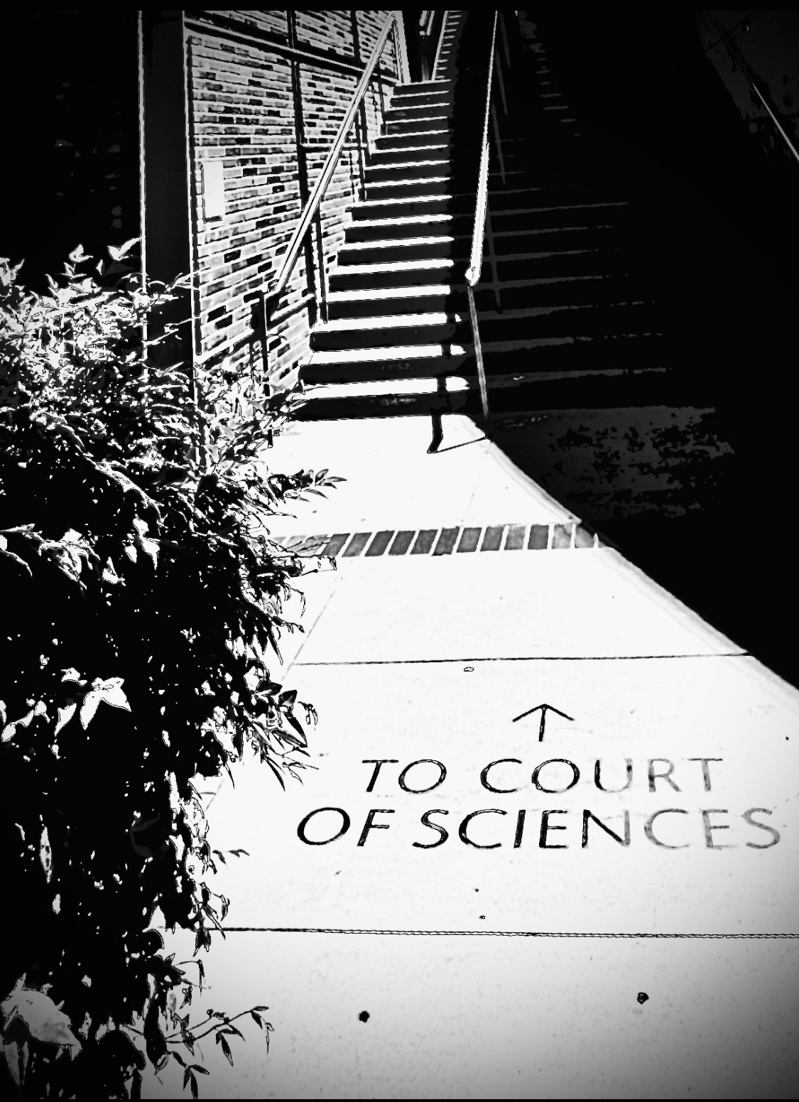 "To the Court..." (v)