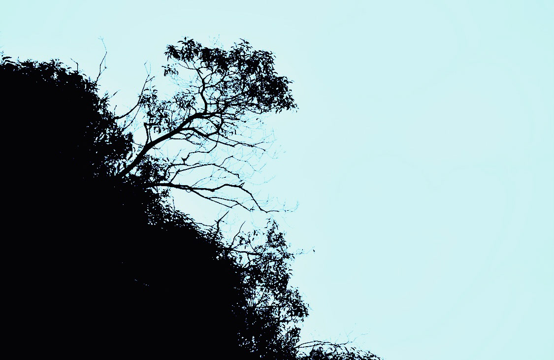 Tree Outcrop (blue) - Calabasas