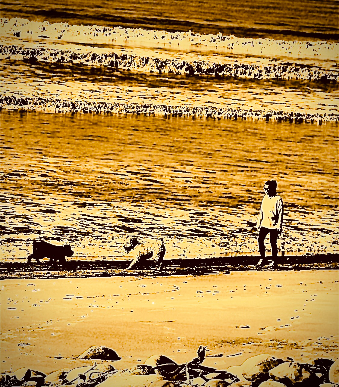 Walk with Two Dogs - Ventura