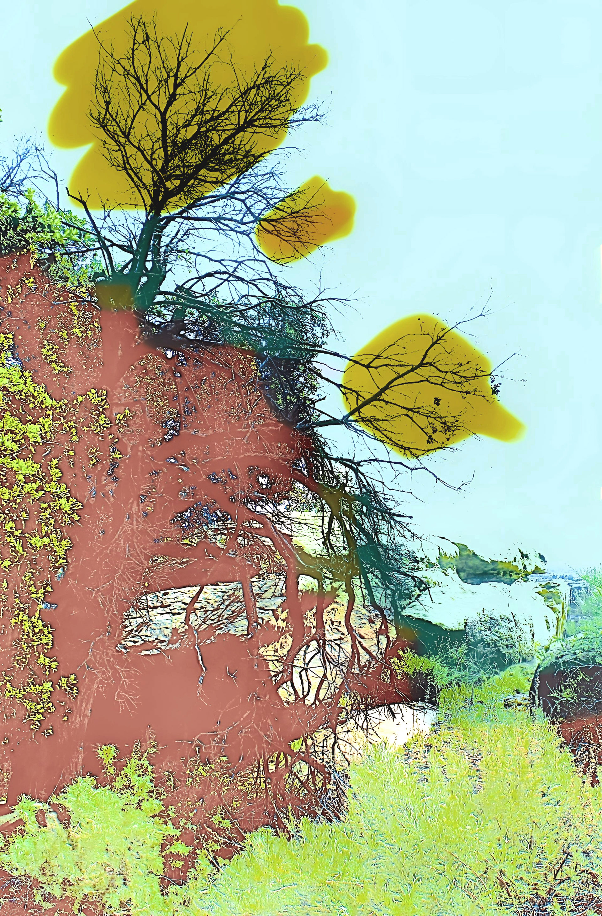 'Garden of the Gods' (i)