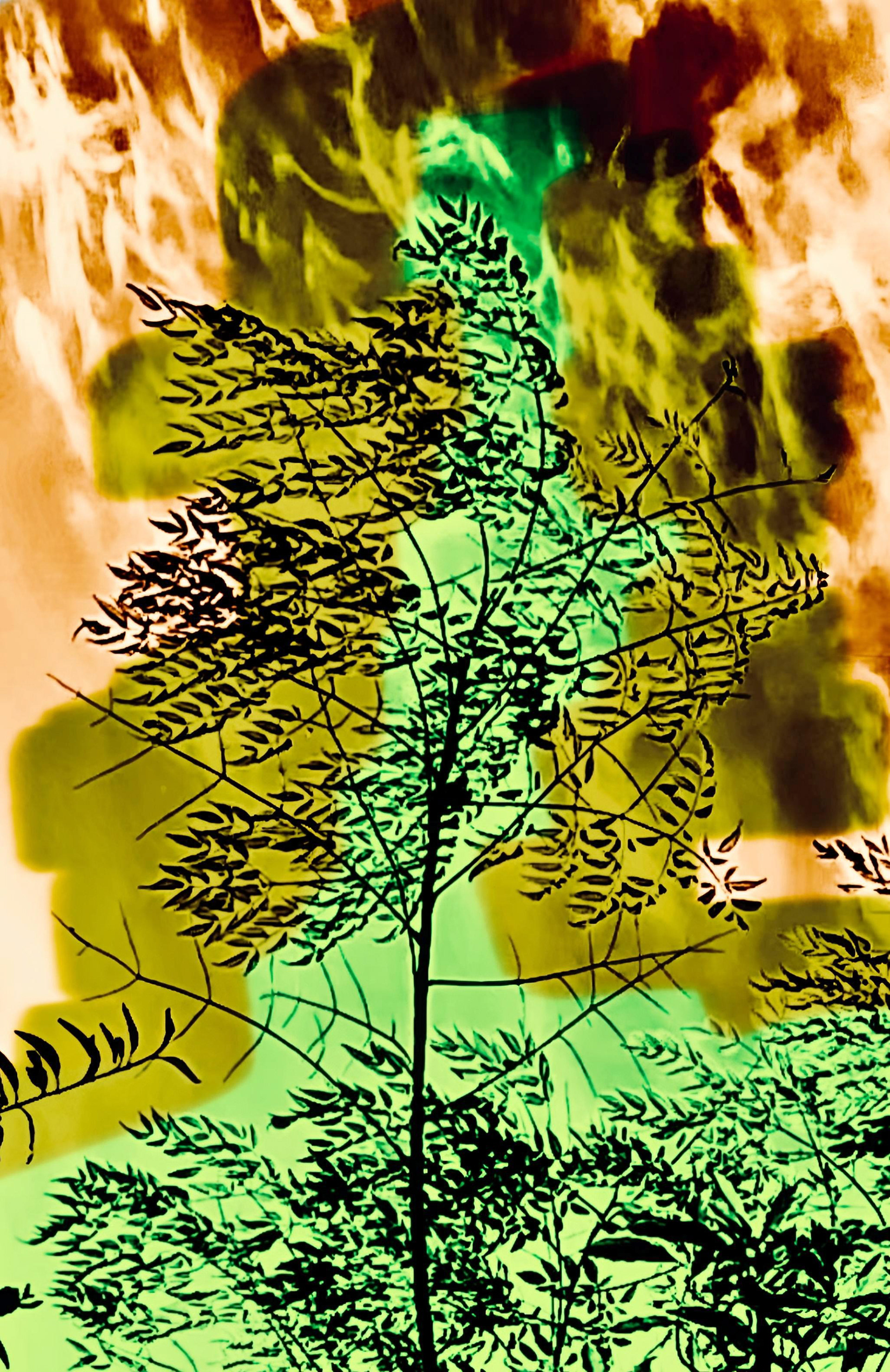 Morning Expression - 3