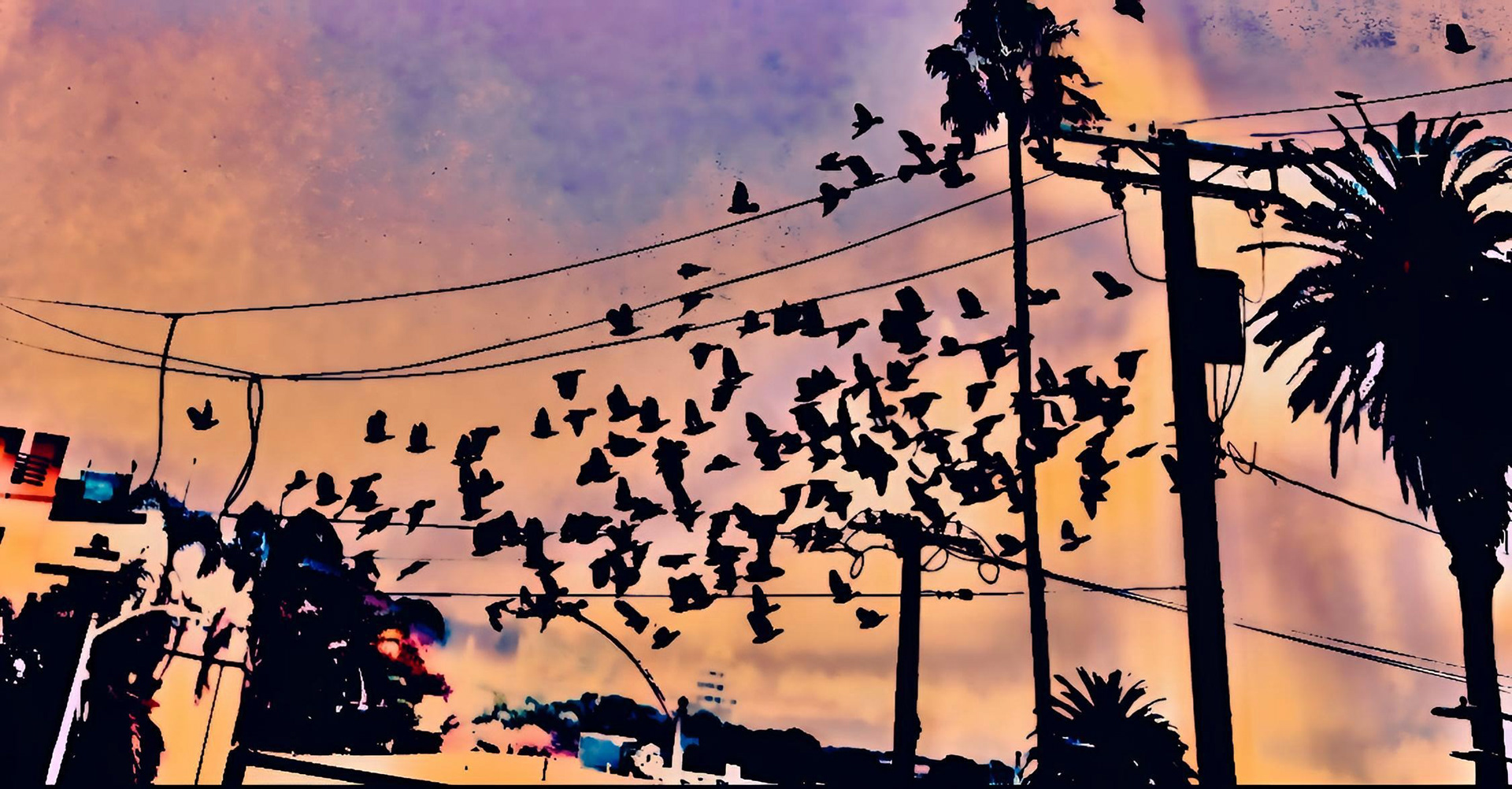Flying Colors (v)