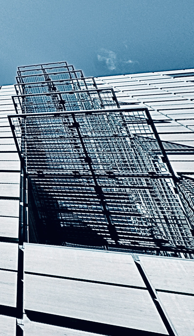 Vertizon study (ix)