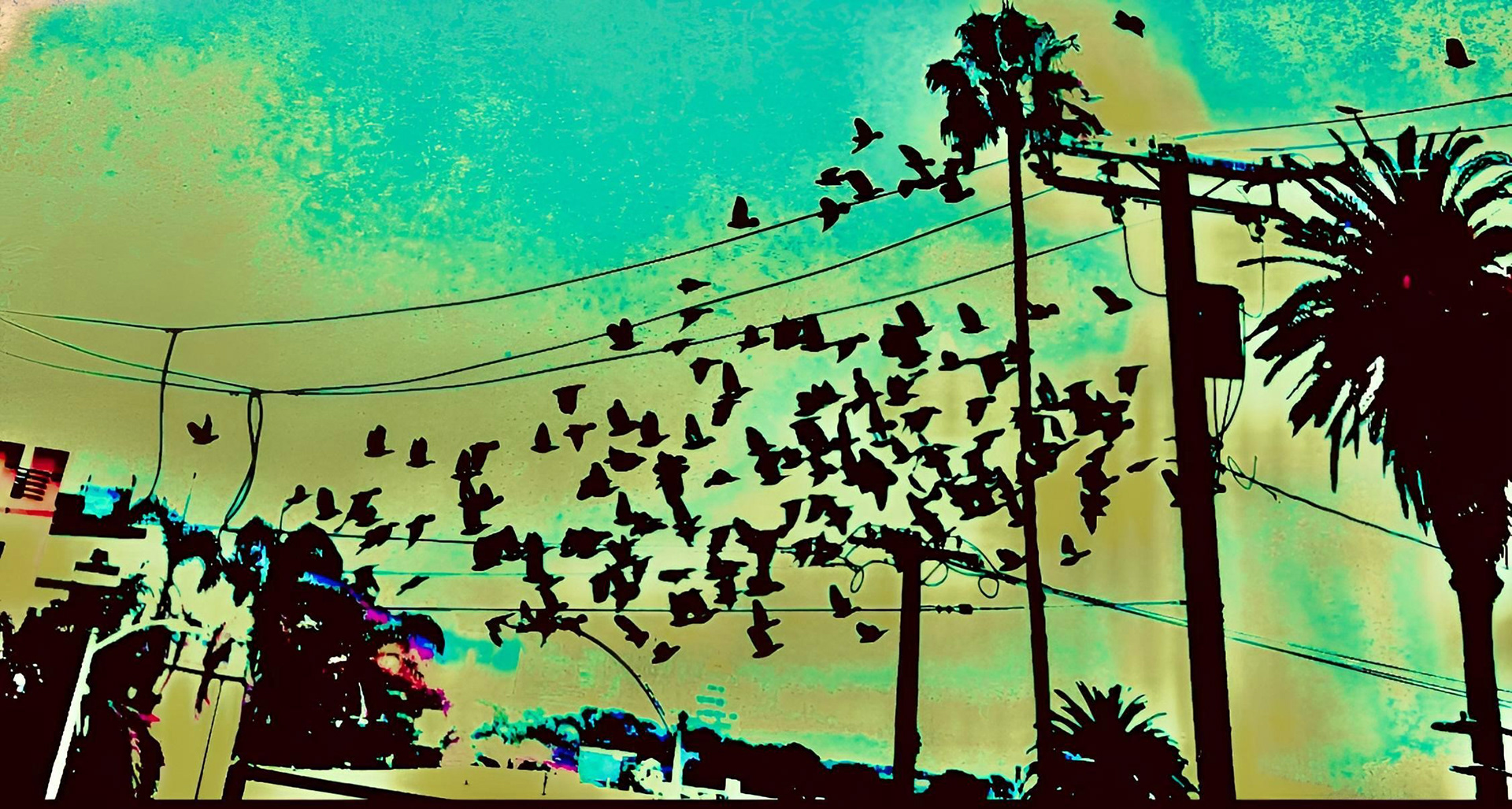 Flying Colors (i)