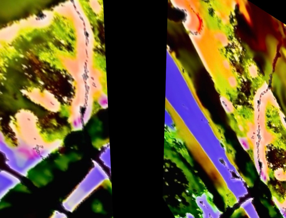 Process Series (4)