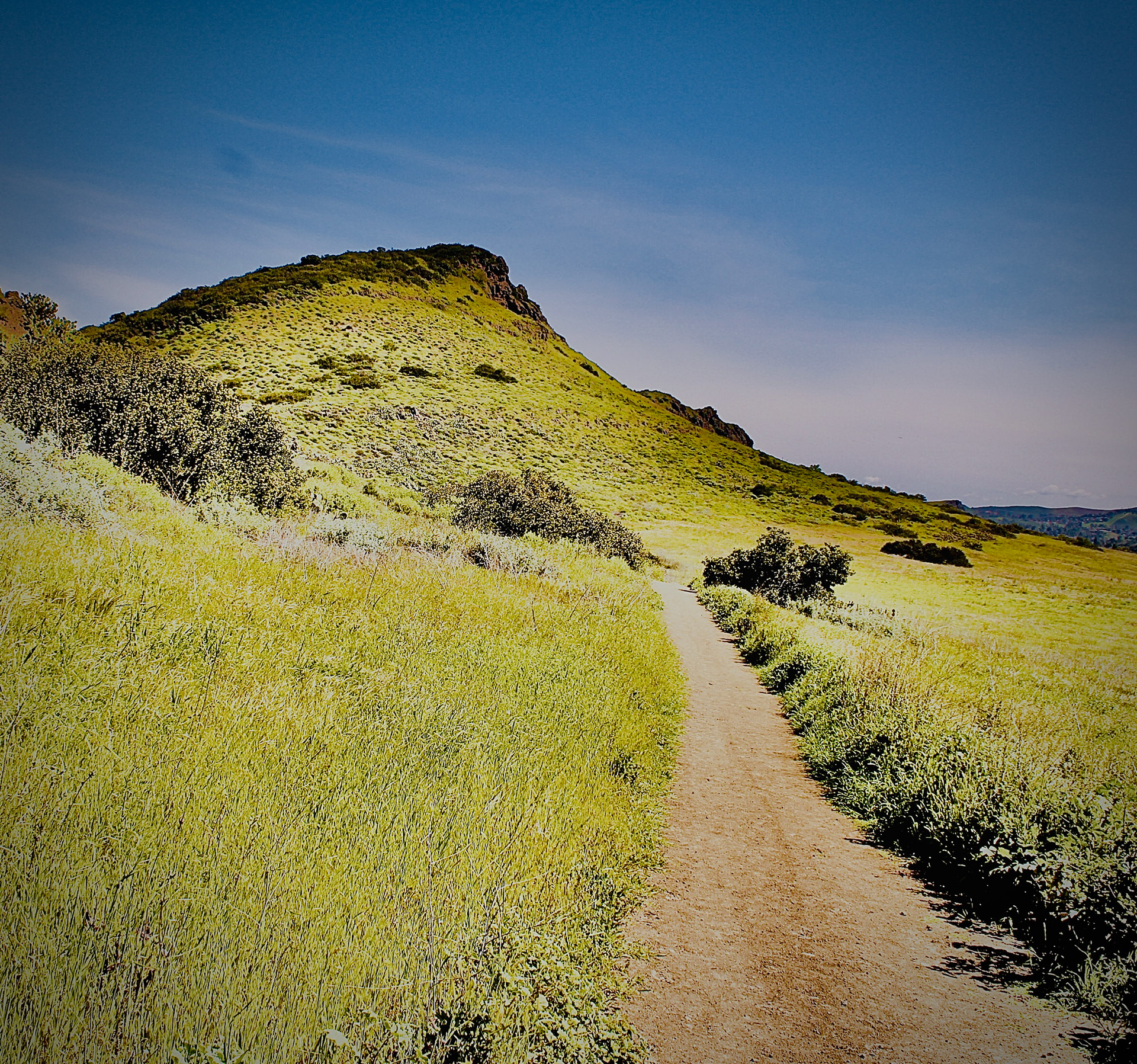 WW - Trail Vista